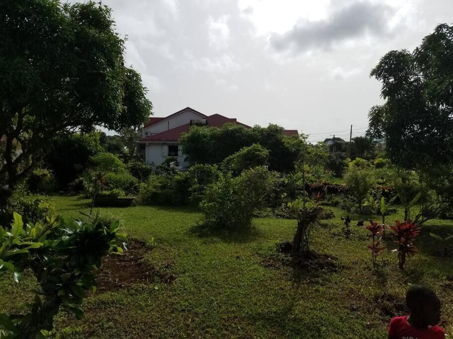 Haut de villa rénové avec jardin créole privatif à 10 min de Deshaies view 4