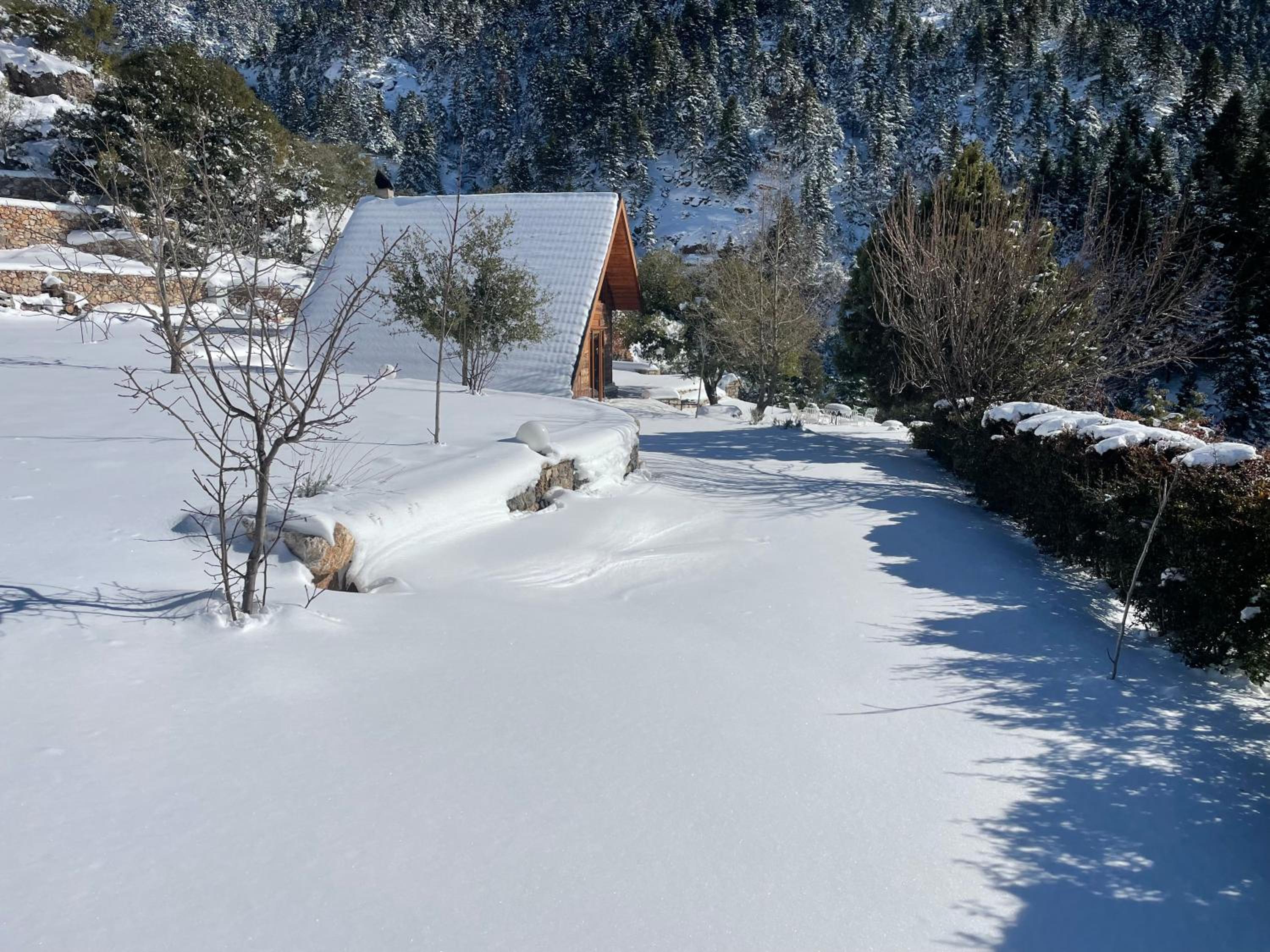 Chalet in the Forest view 5
