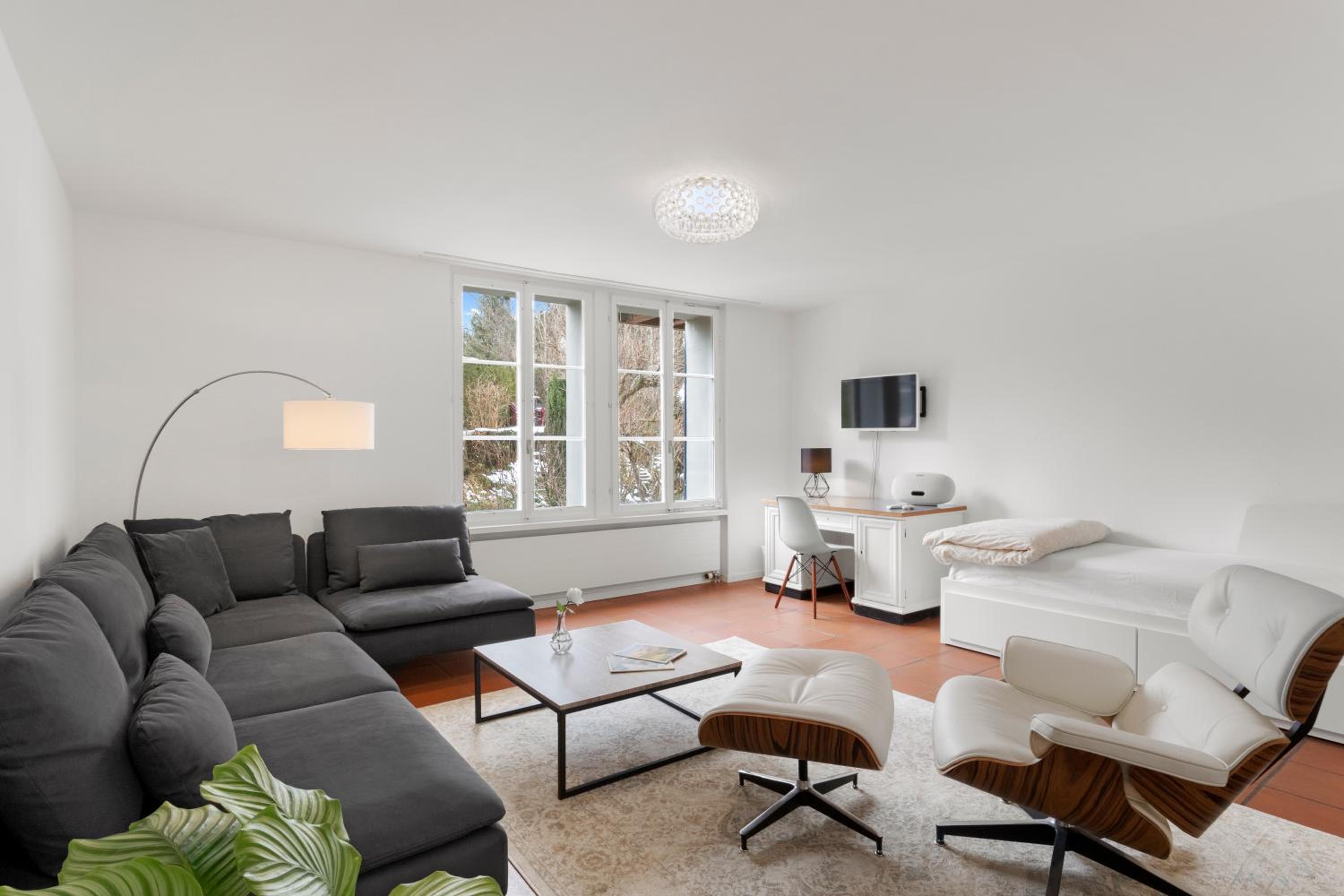Cozy Boutique Apartment at Mt. Rigi view 3