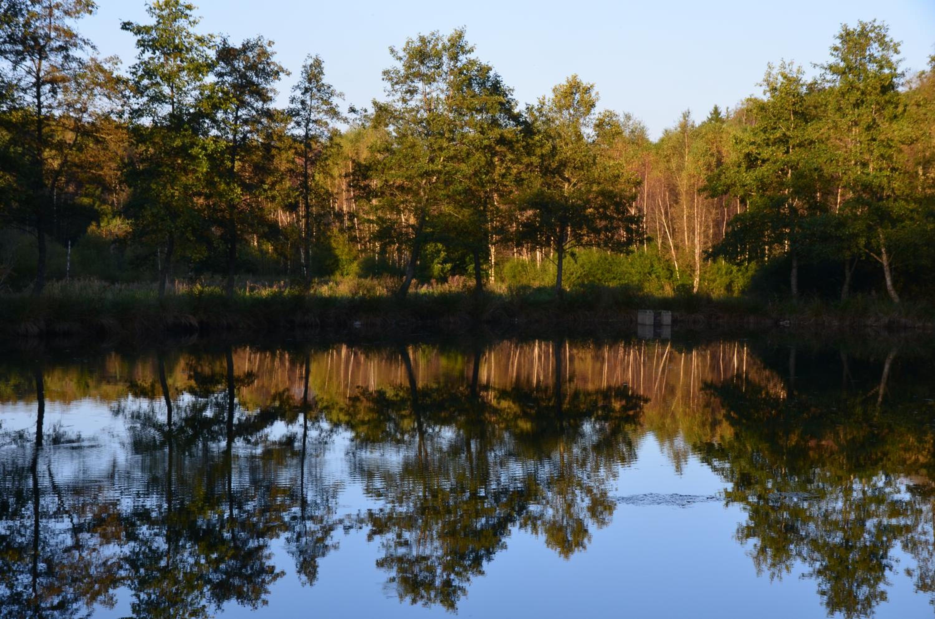 Un espace au bord de l'eau