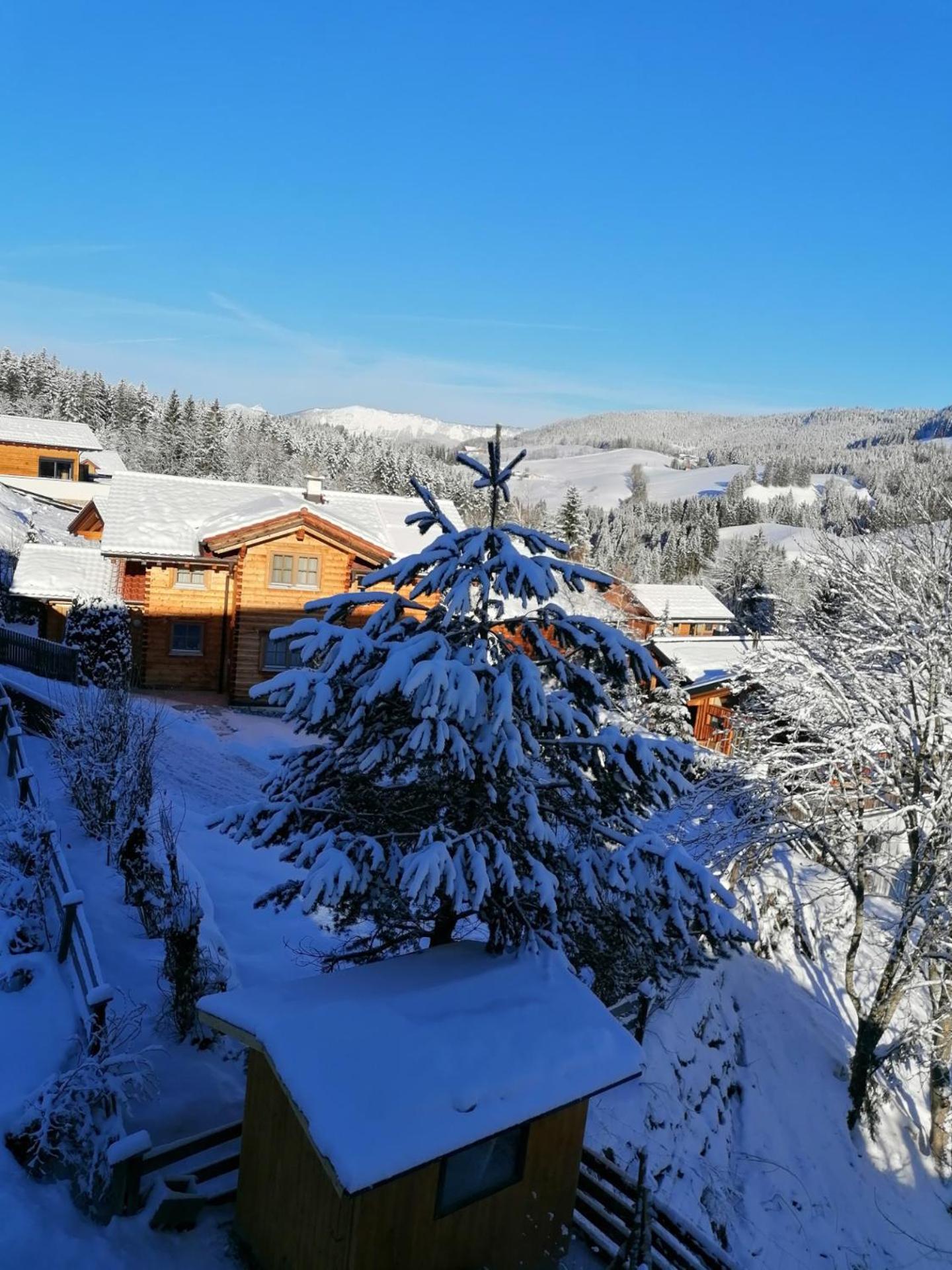 Ferienwohnung Donnerkogel