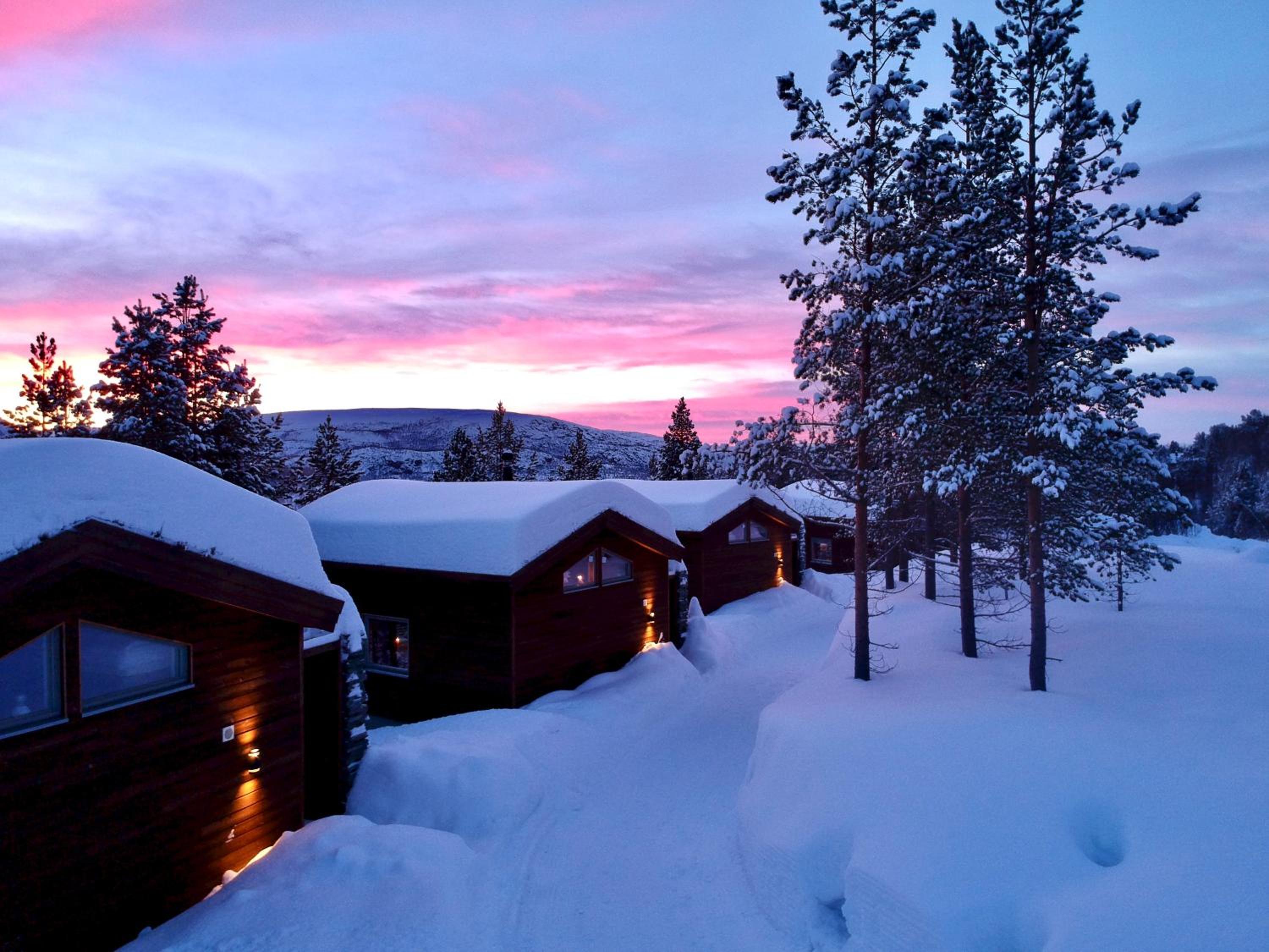 Bjørnfjell Mountain Lodge