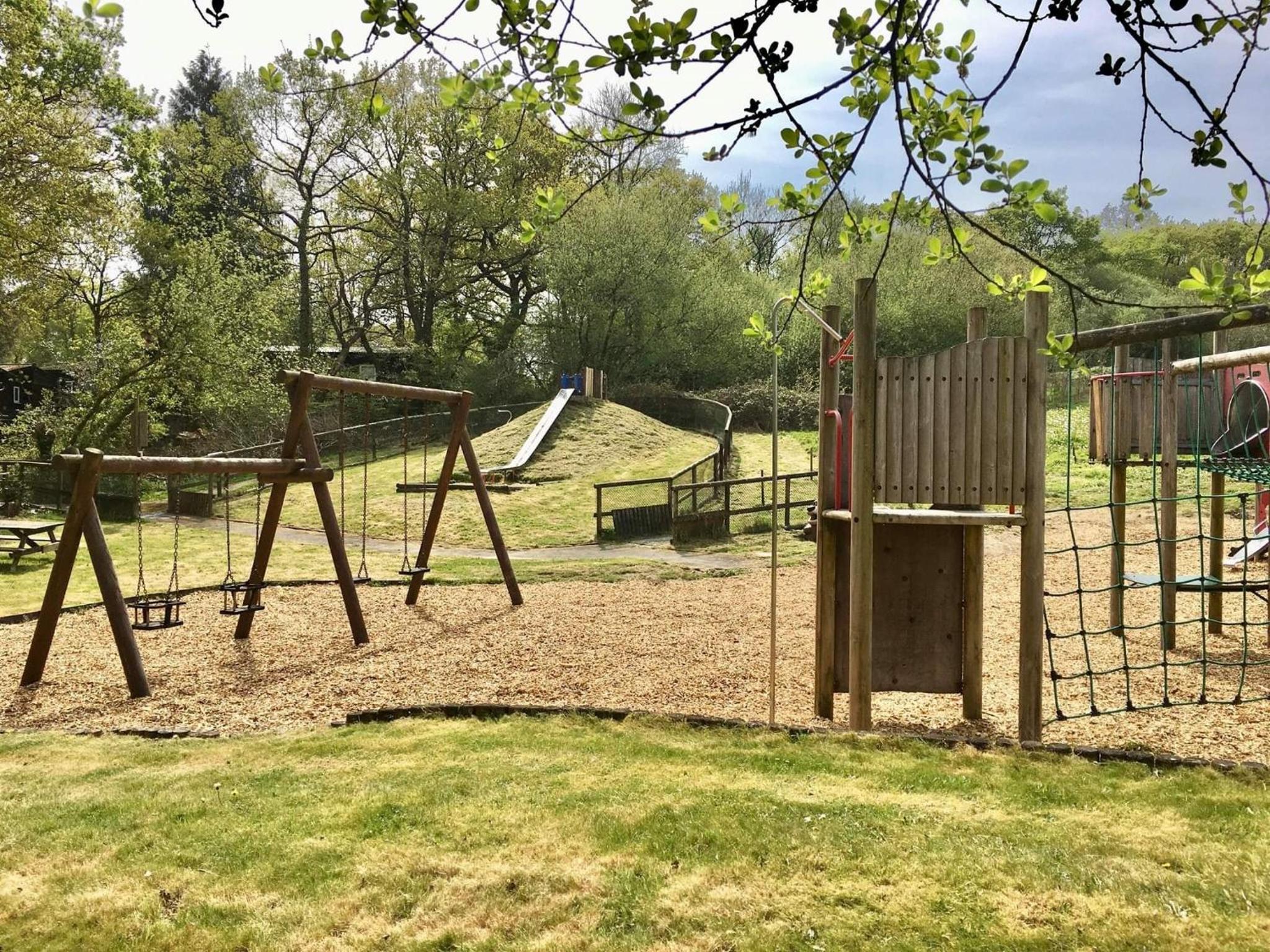 Photo 19