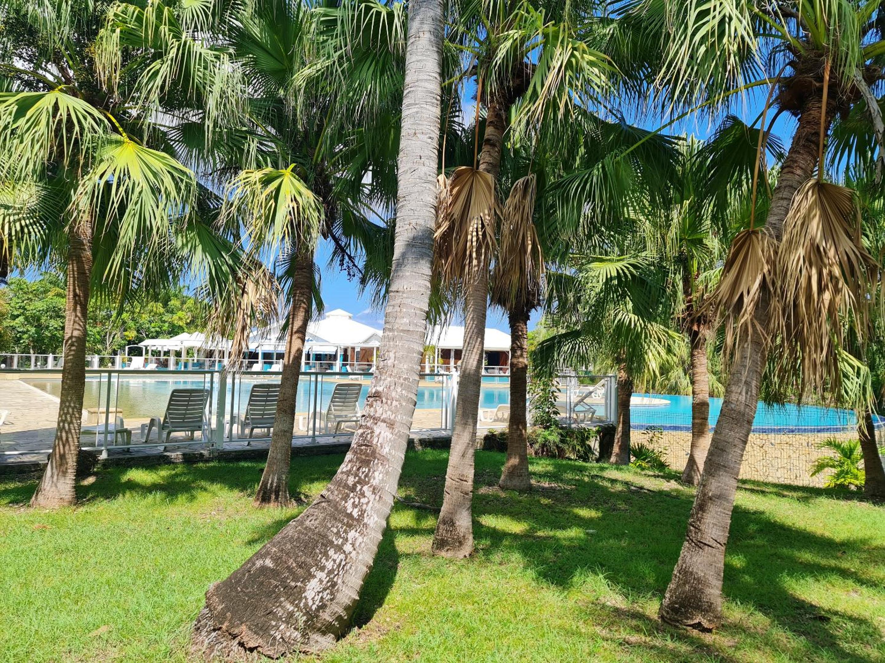 Studio charmant à Saint-François, 42 m² avec piscine partagée. view 2