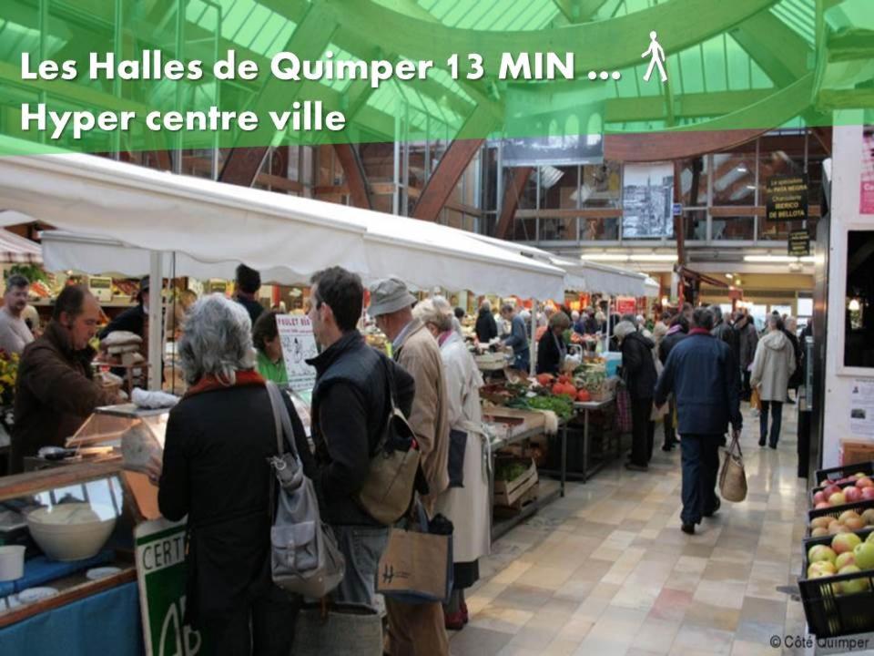 LE NID 2 QUIMPER BY Nid'Ouest, photo 42