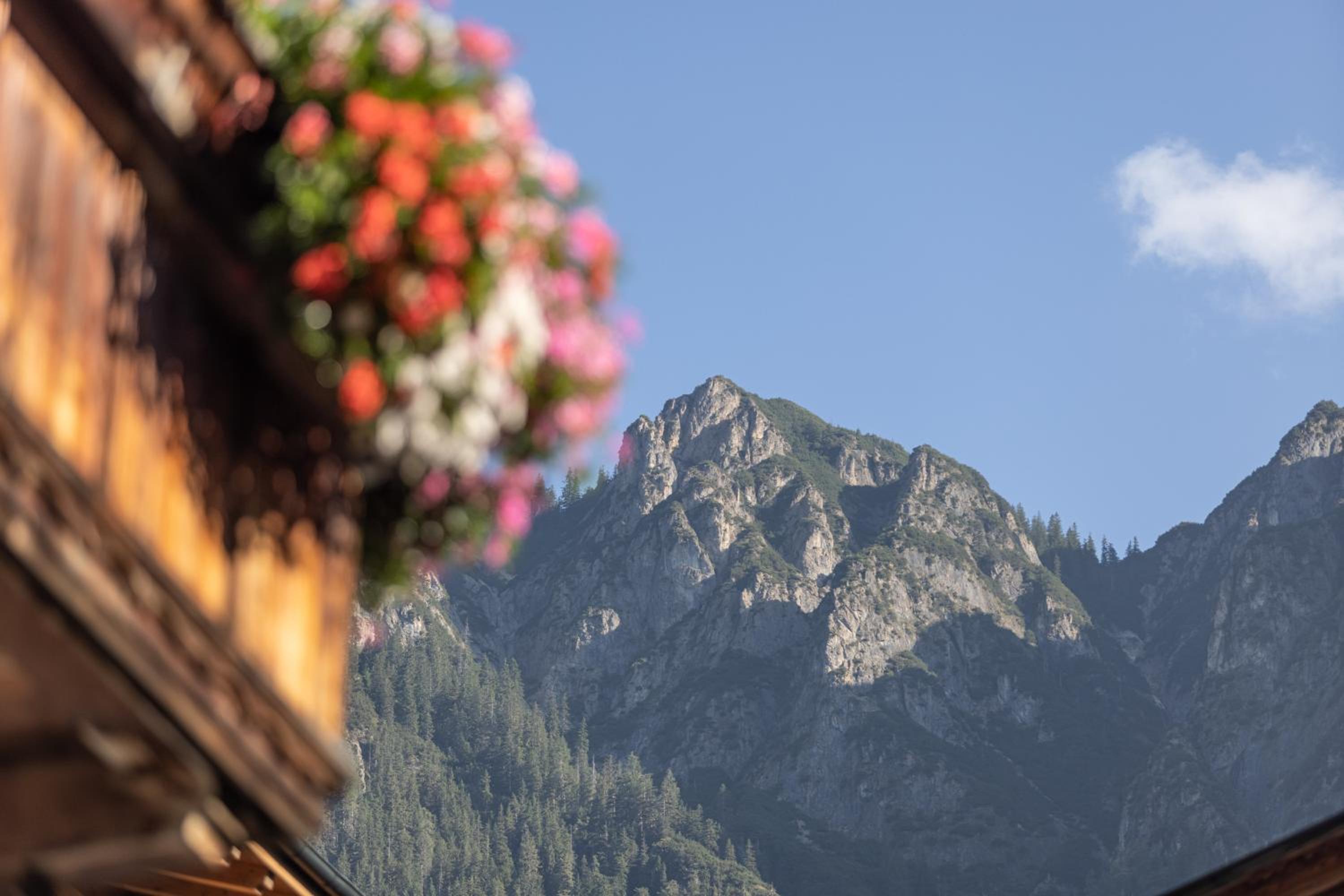 Das Alpbach Juwel