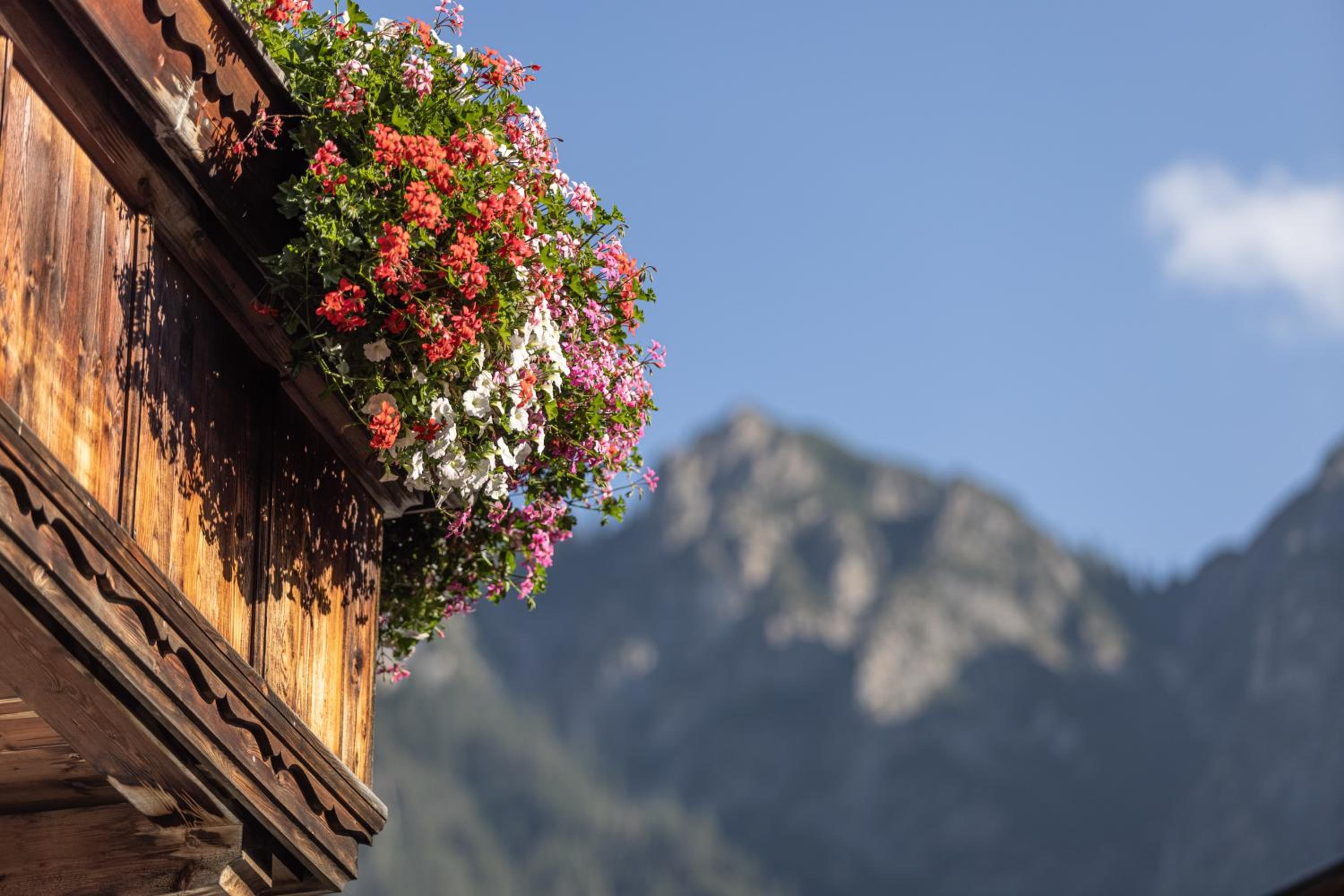 Das Alpbach Juwel