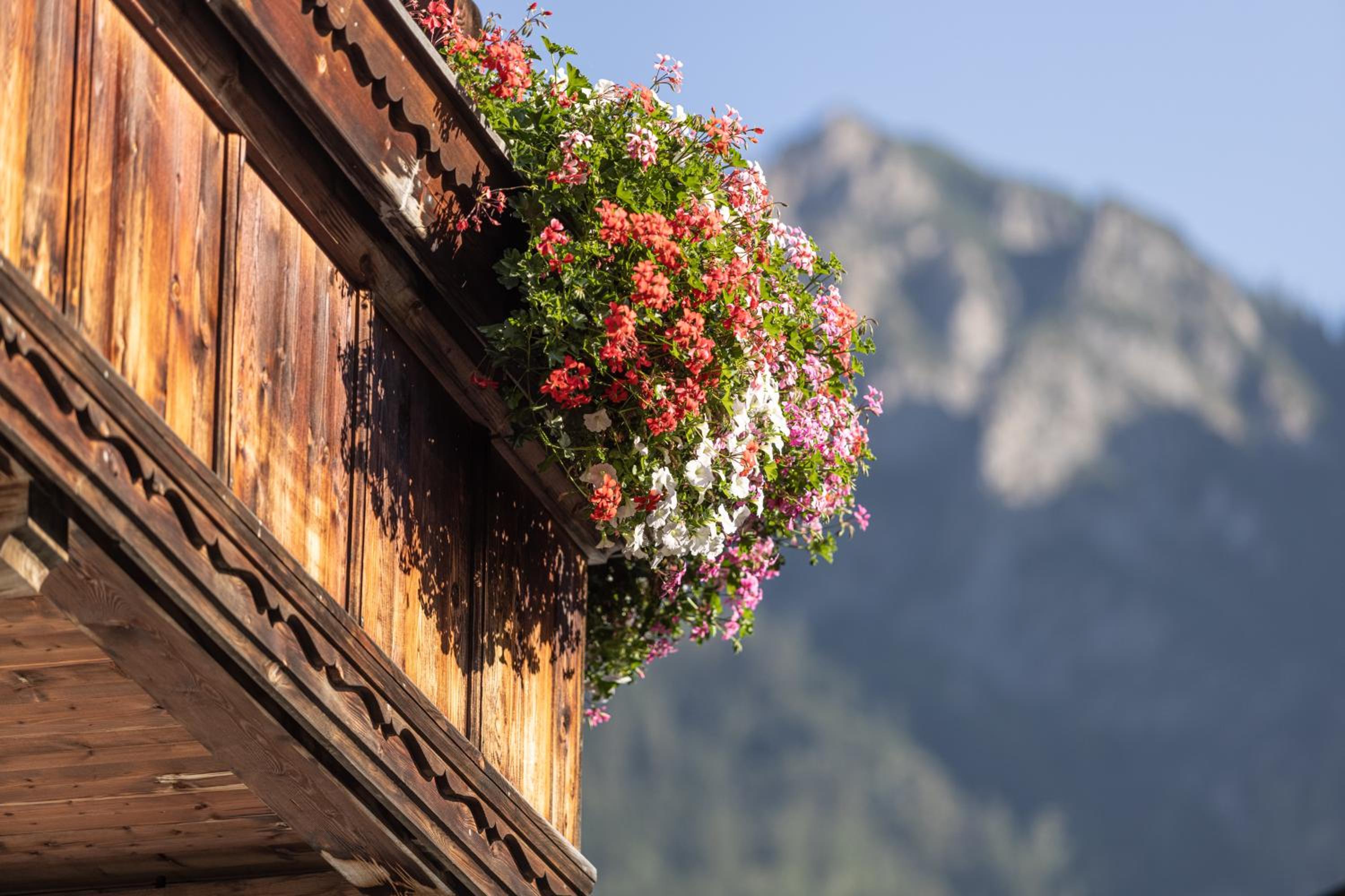 Das Alpbach Juwel
