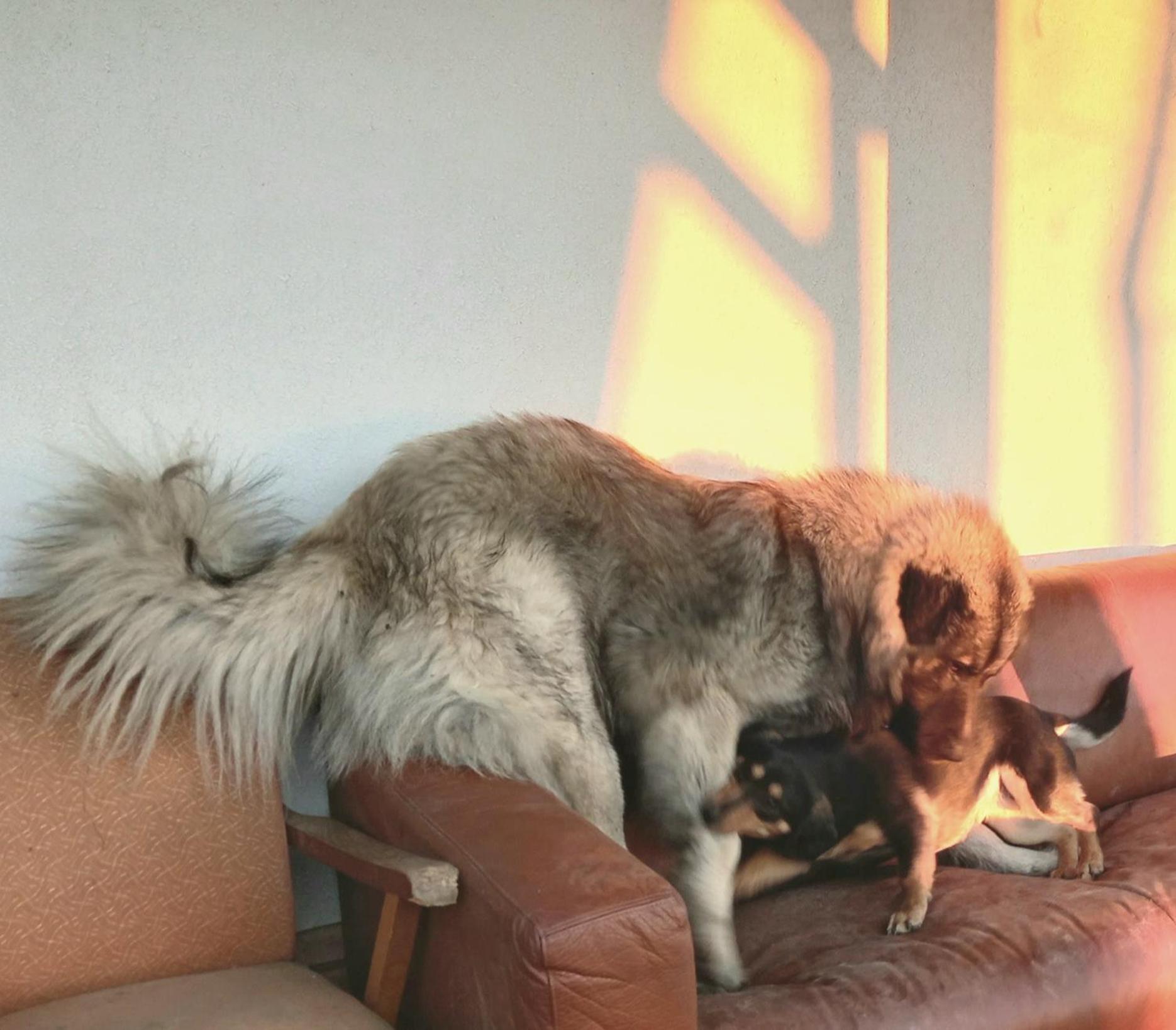 Photo 41