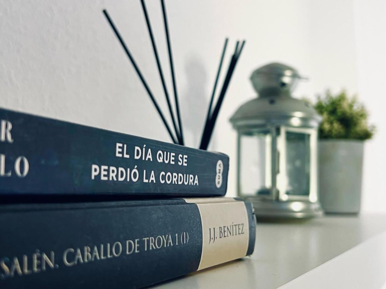Apartamento Pintor Palomino view 3