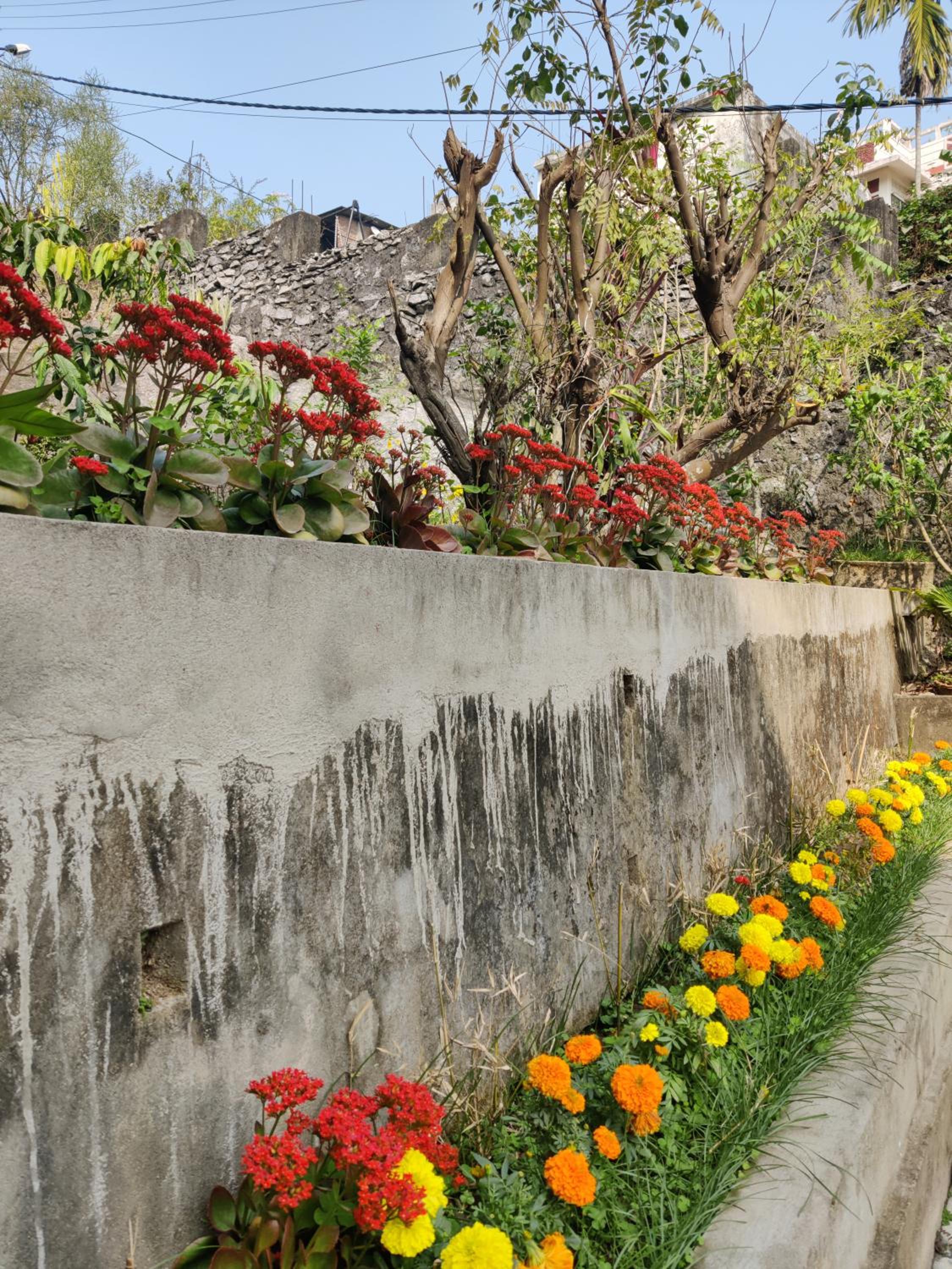 Nilachal Homes view 2