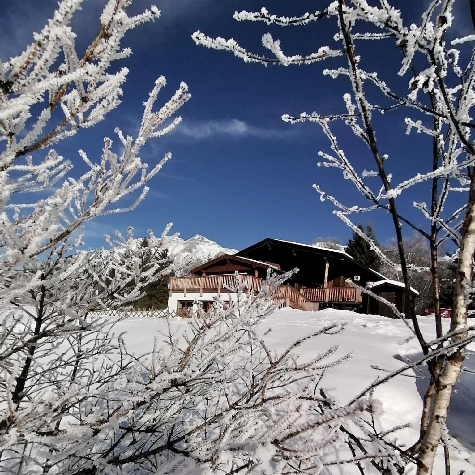 Apartment Silberwald