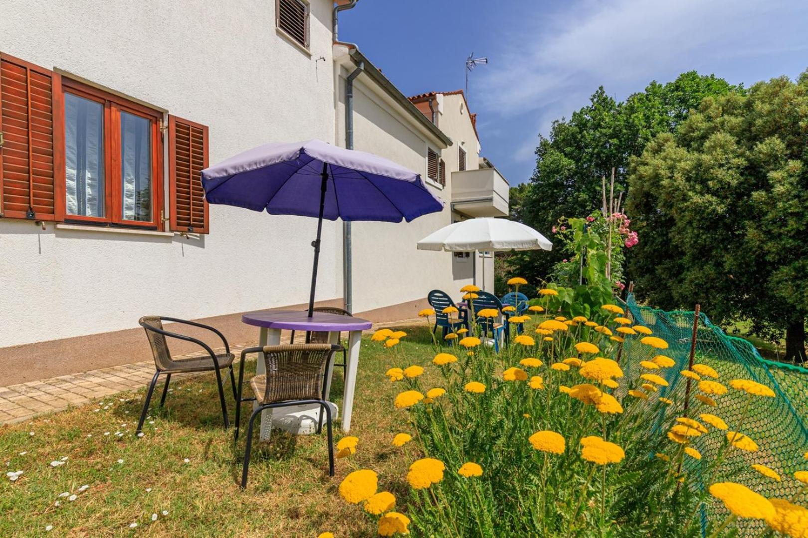 Apartments Pernar - Property Image 5