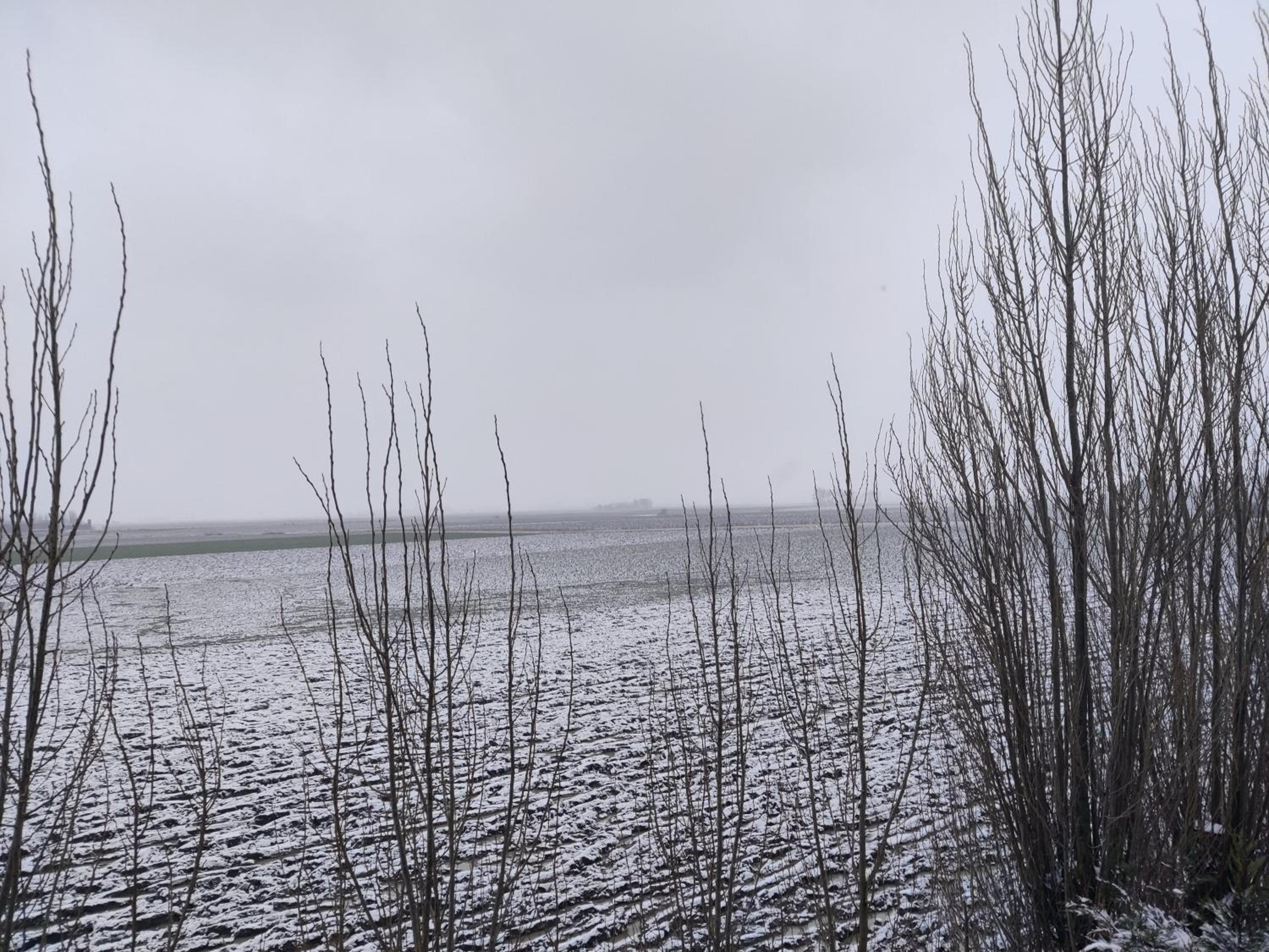 Vakantiehuis De Maretak vlakbij Brugge & de kust