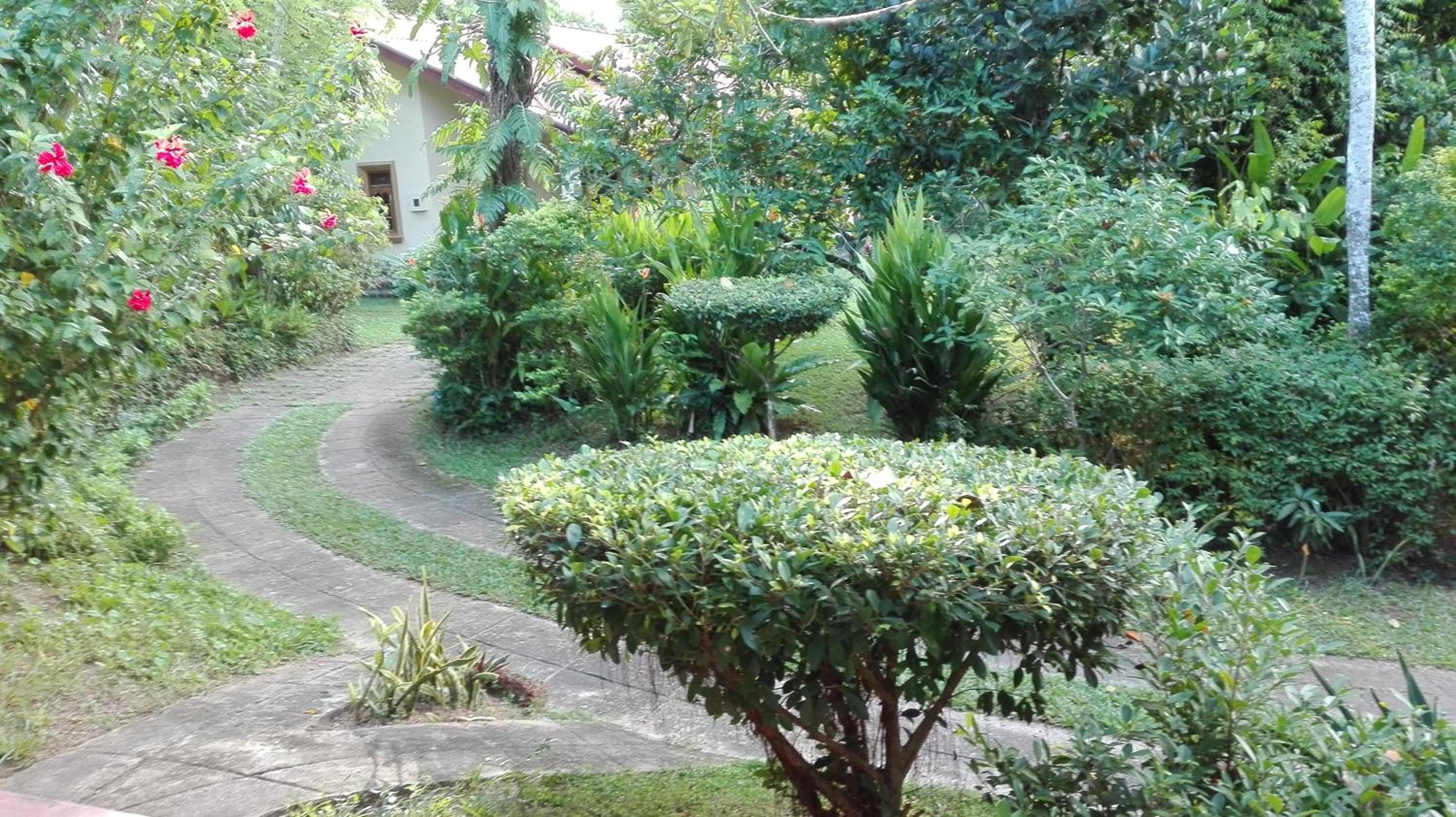 Photo 48