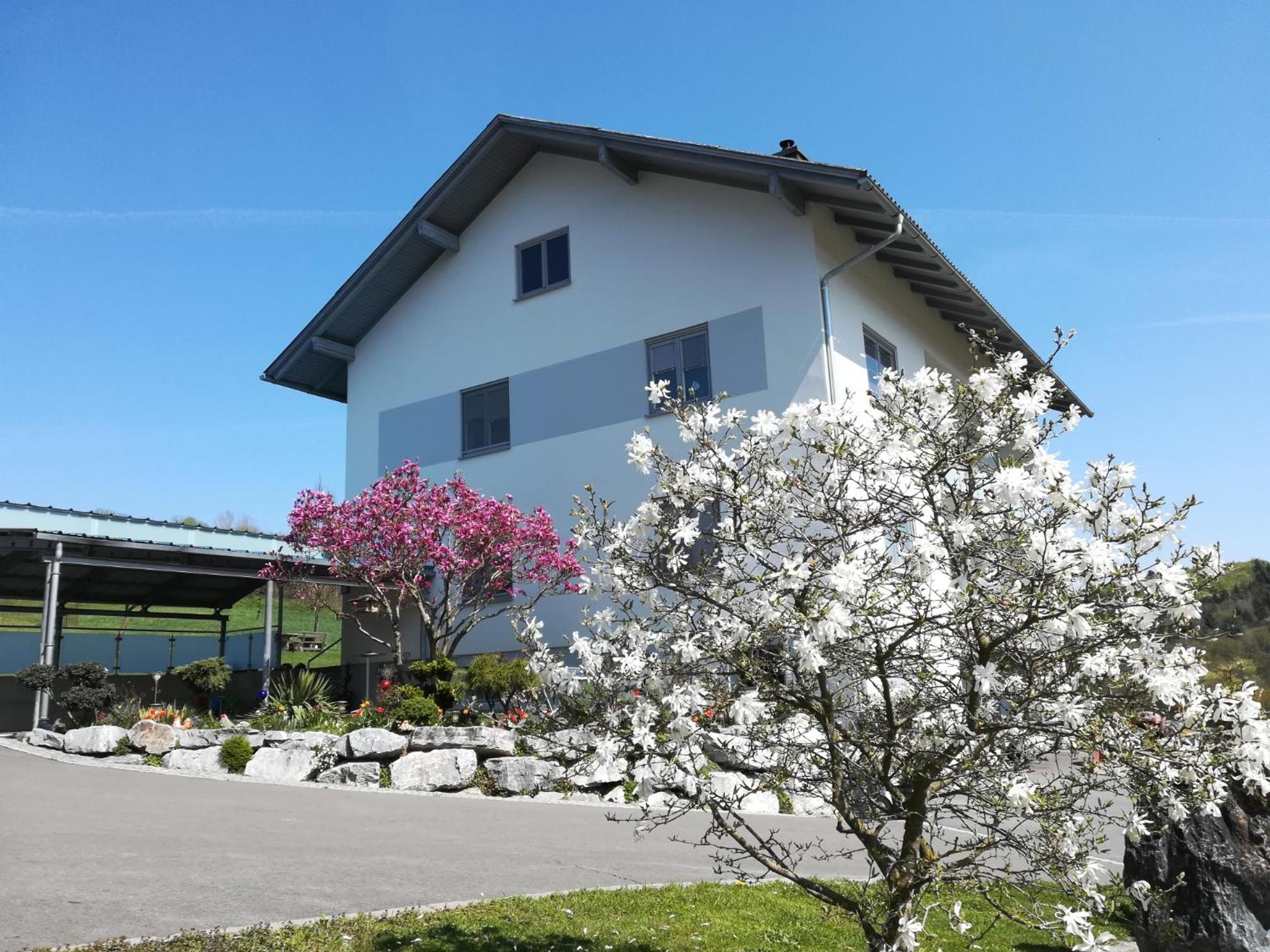 Haus Steinfeld view 5