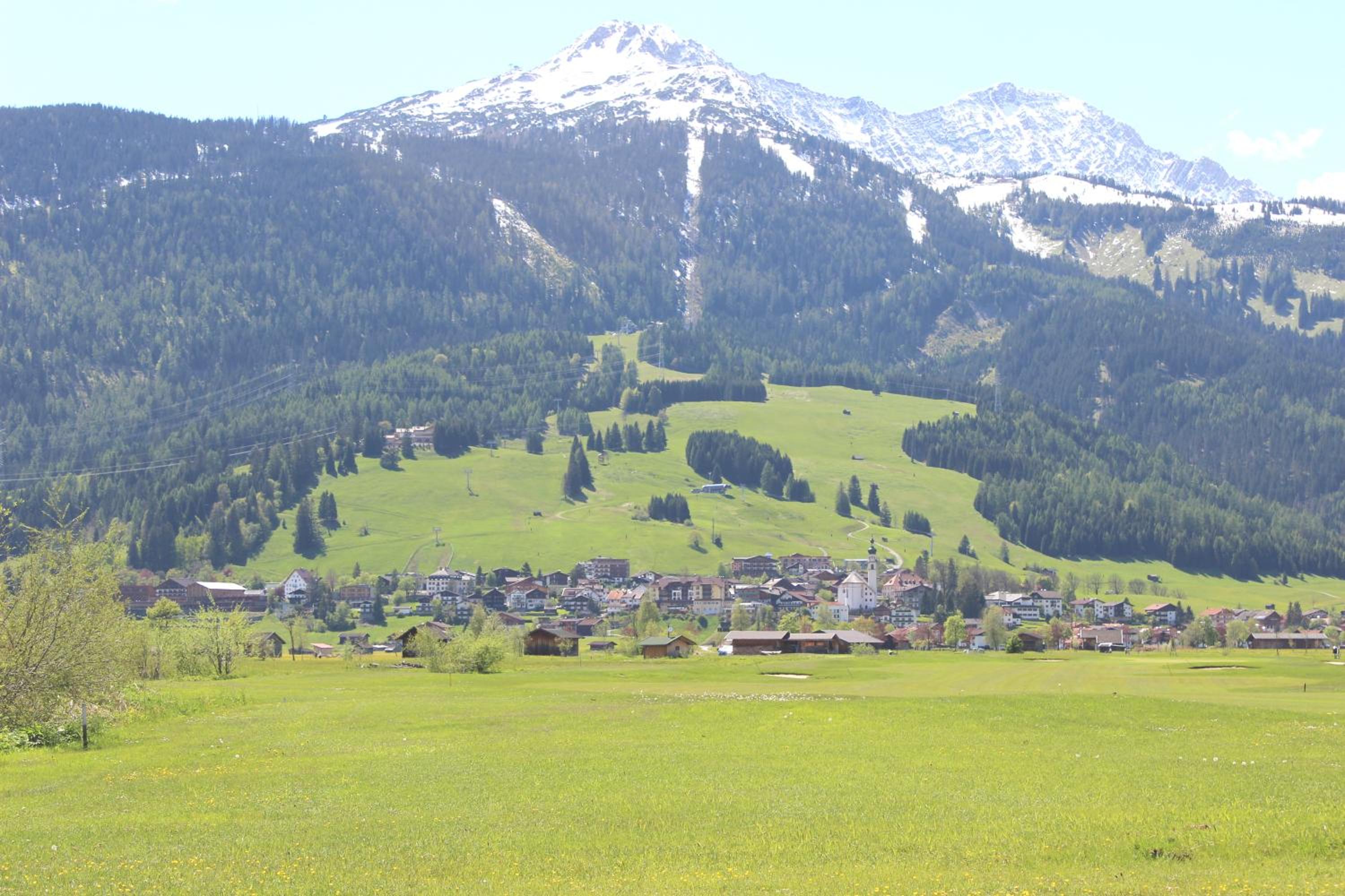 Photo 11