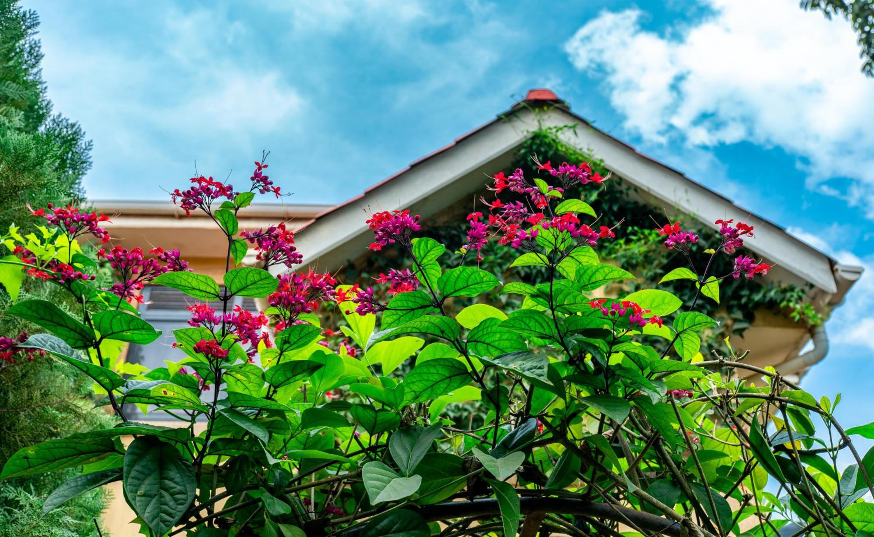 Villa Karibu Serviced Apartments-Kampala