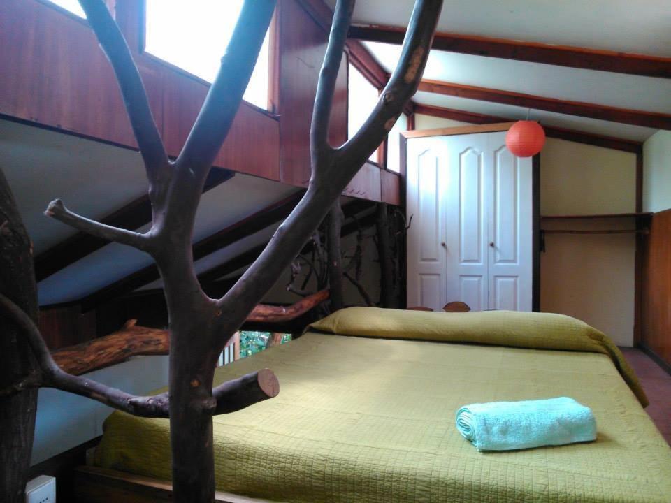 Cabañas Moenga