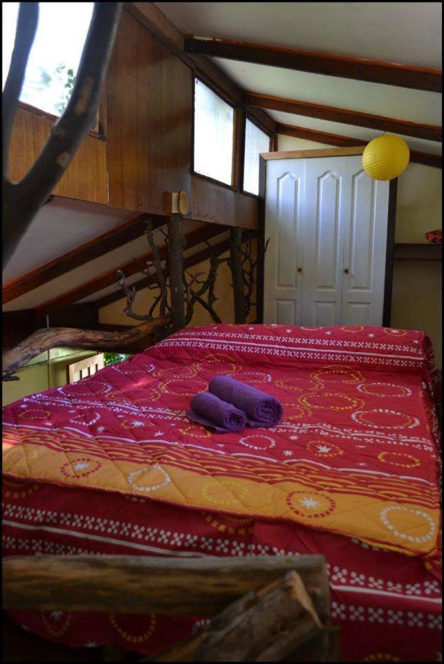 Cabañas Moenga