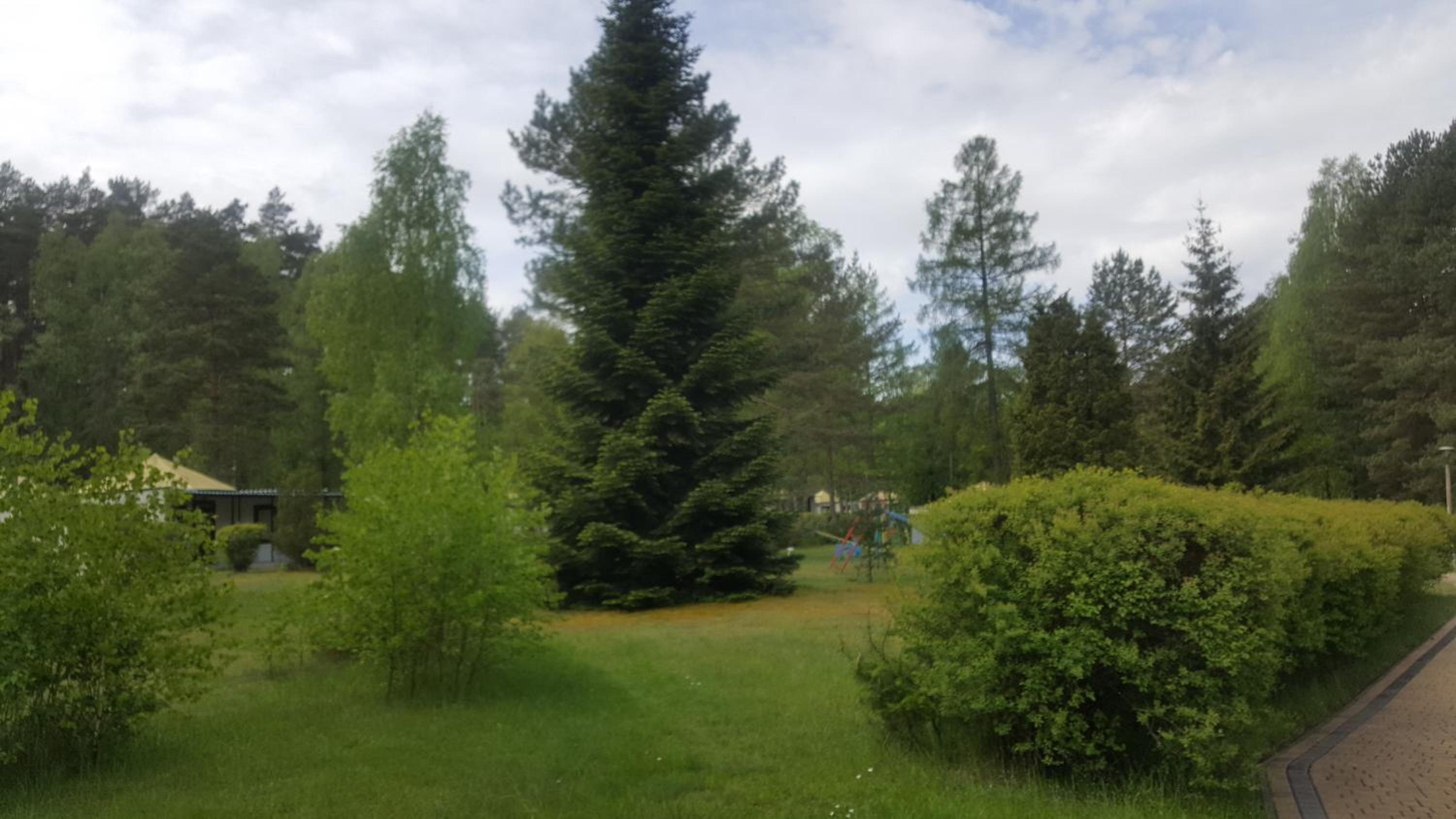 Photo 47
