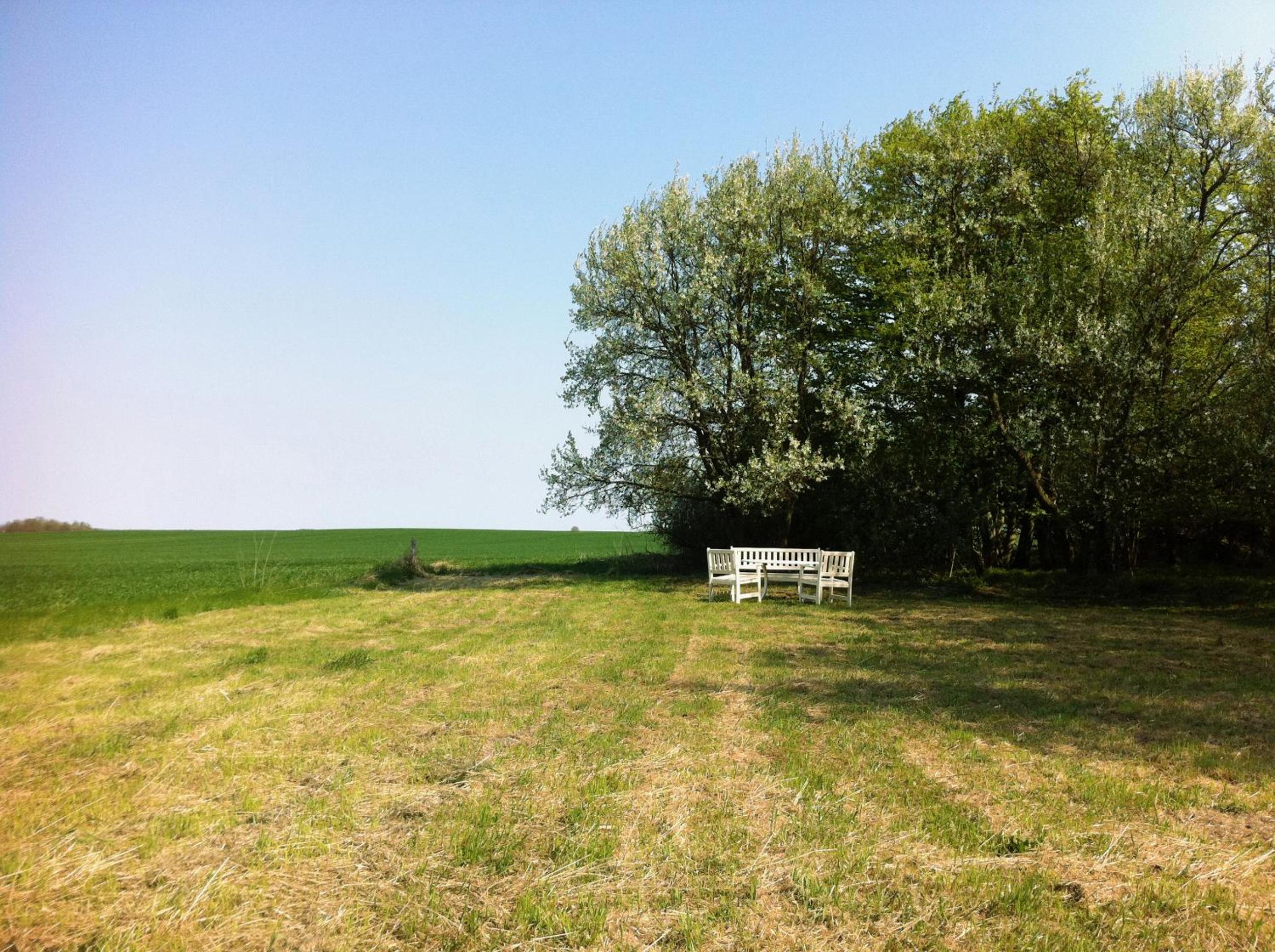 Photo 46