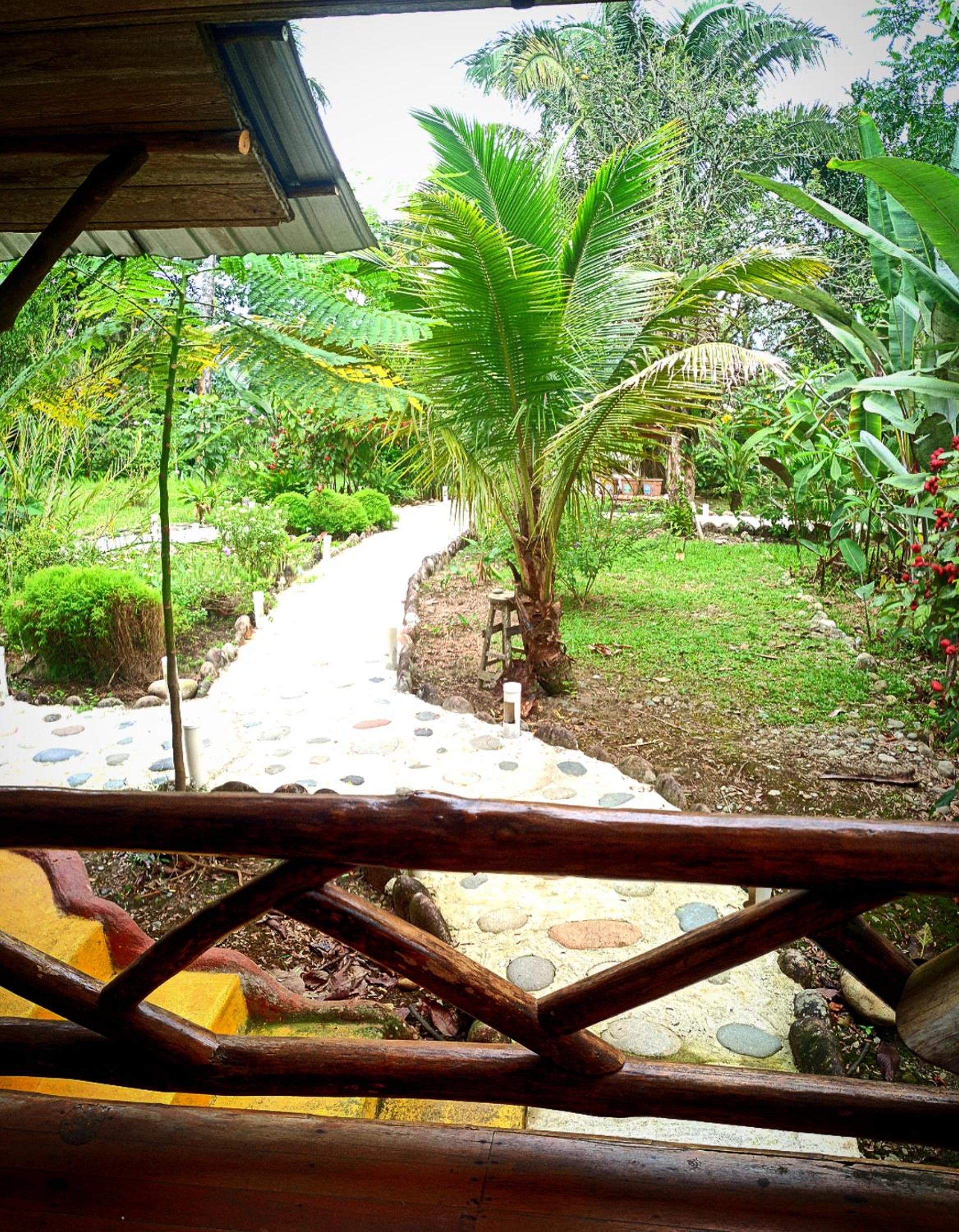 Rio Napo Lodge