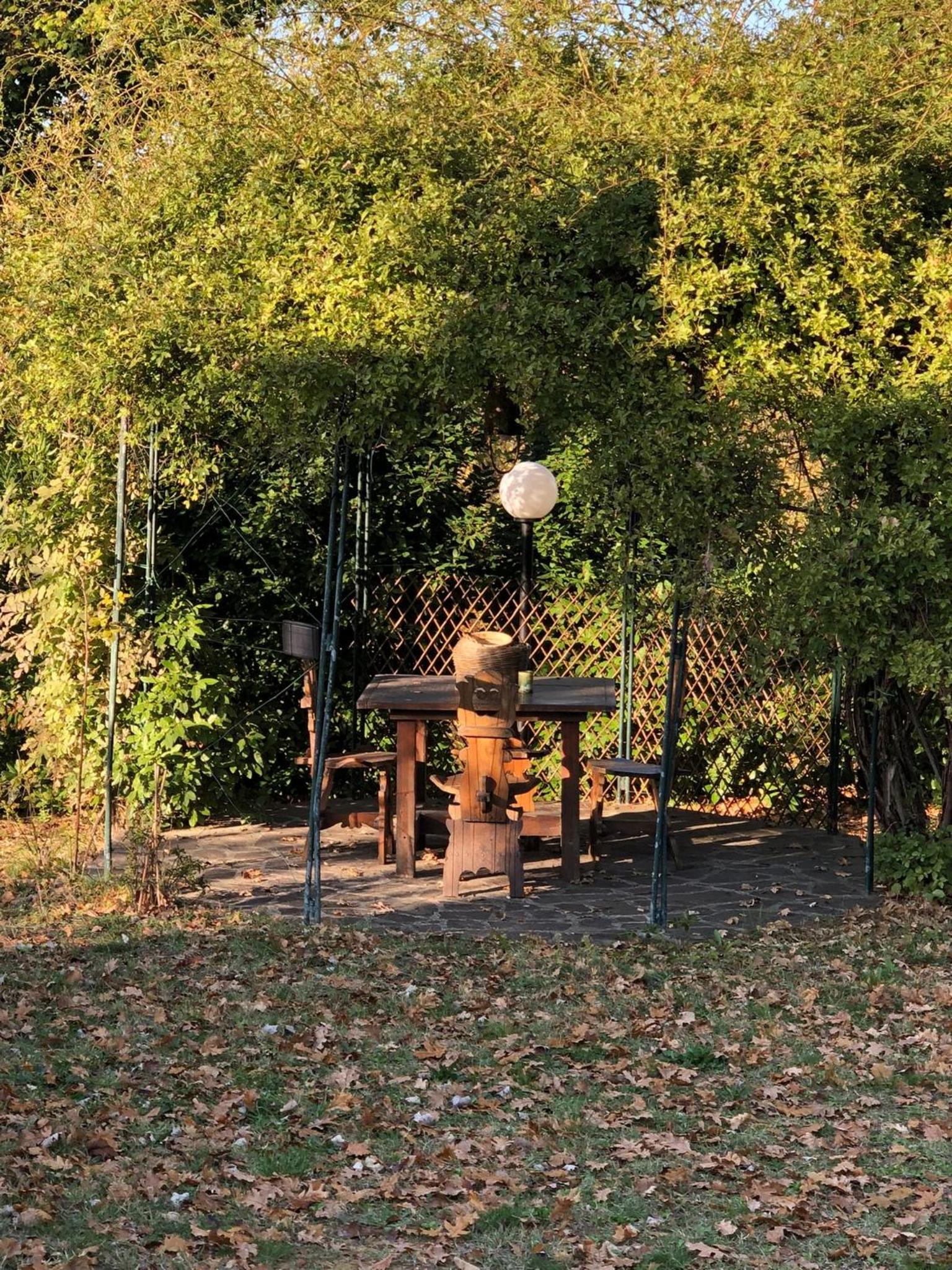 Photo 23