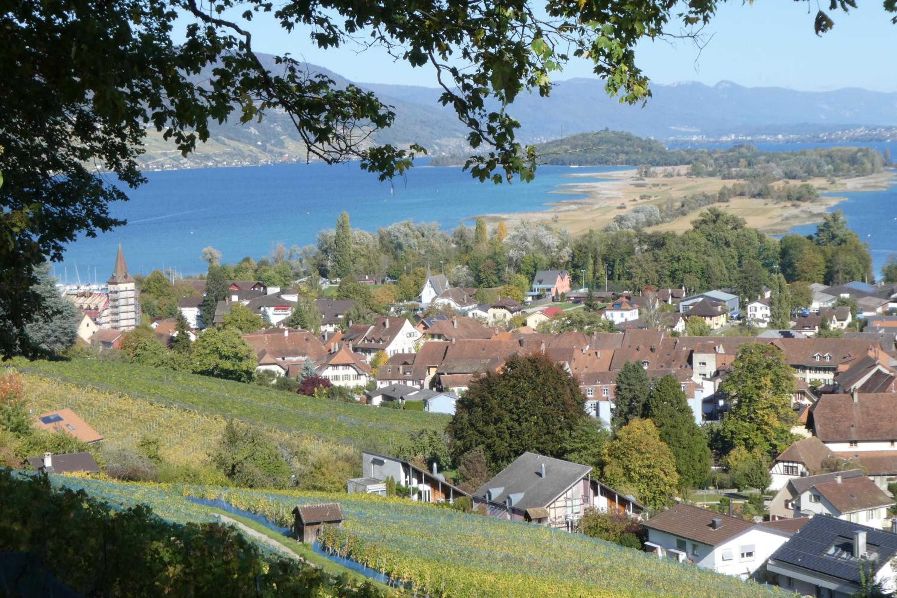 Bed and Breakfast La Petite Thielle