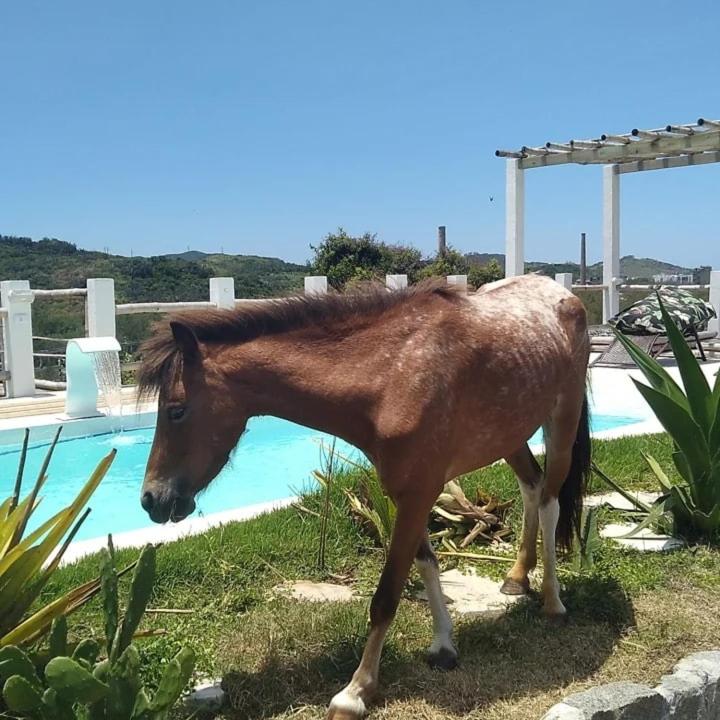 Pousada Fazendinha Beach Club Arraial do Cabo