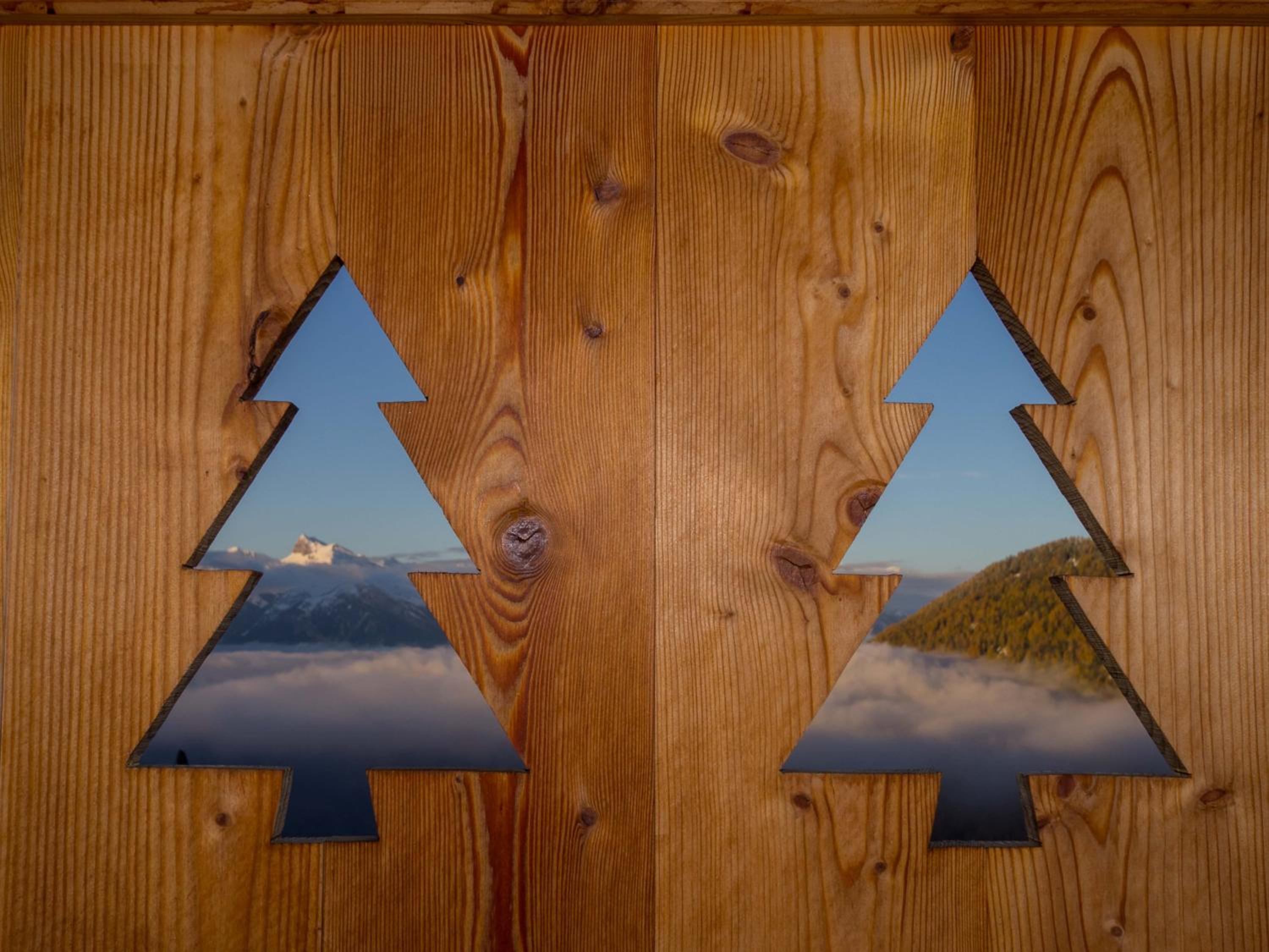 Chalet Petit Sapin