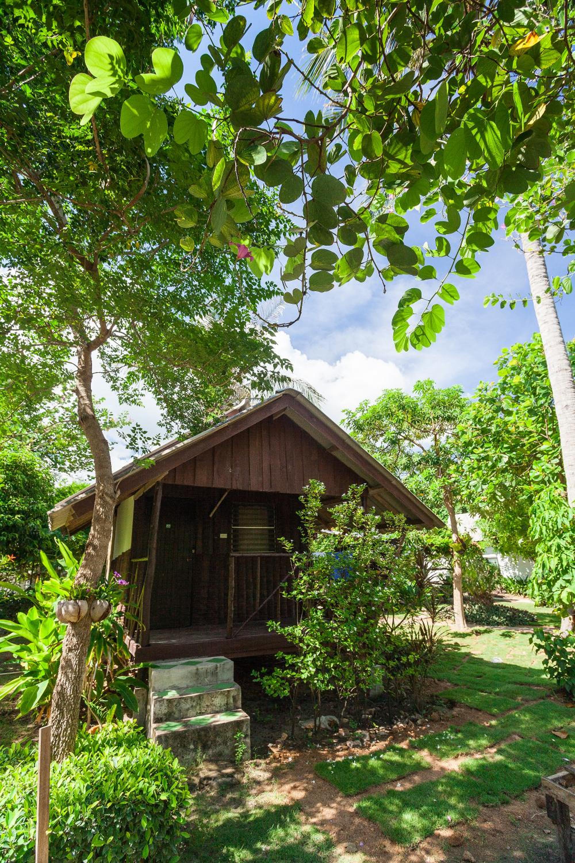 The Cosy Koh Phangan and Restaurant