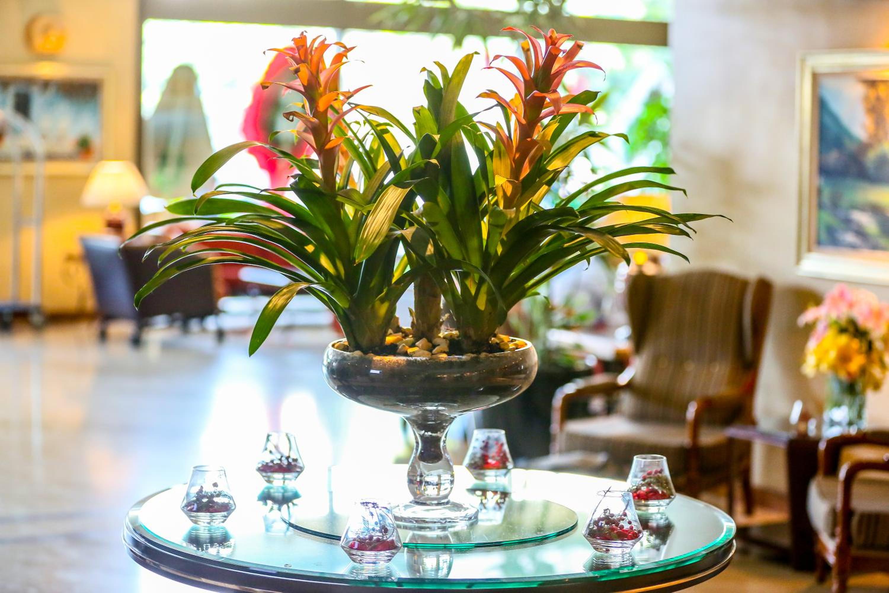 Buyukhanli Park Hotel - Image 66