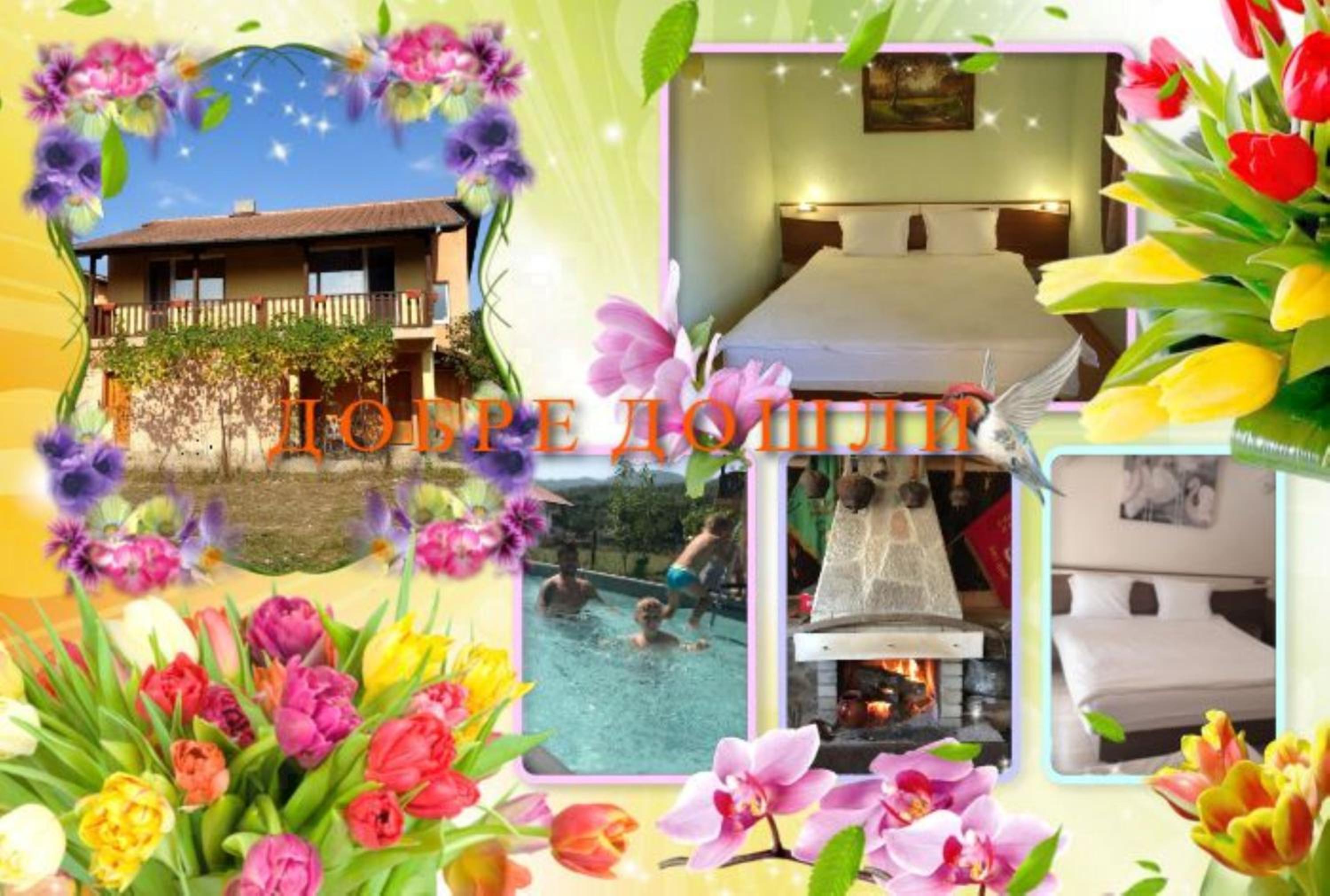GUEST HOUSE TONI СТАИ за ГОСТИ ТОНИ