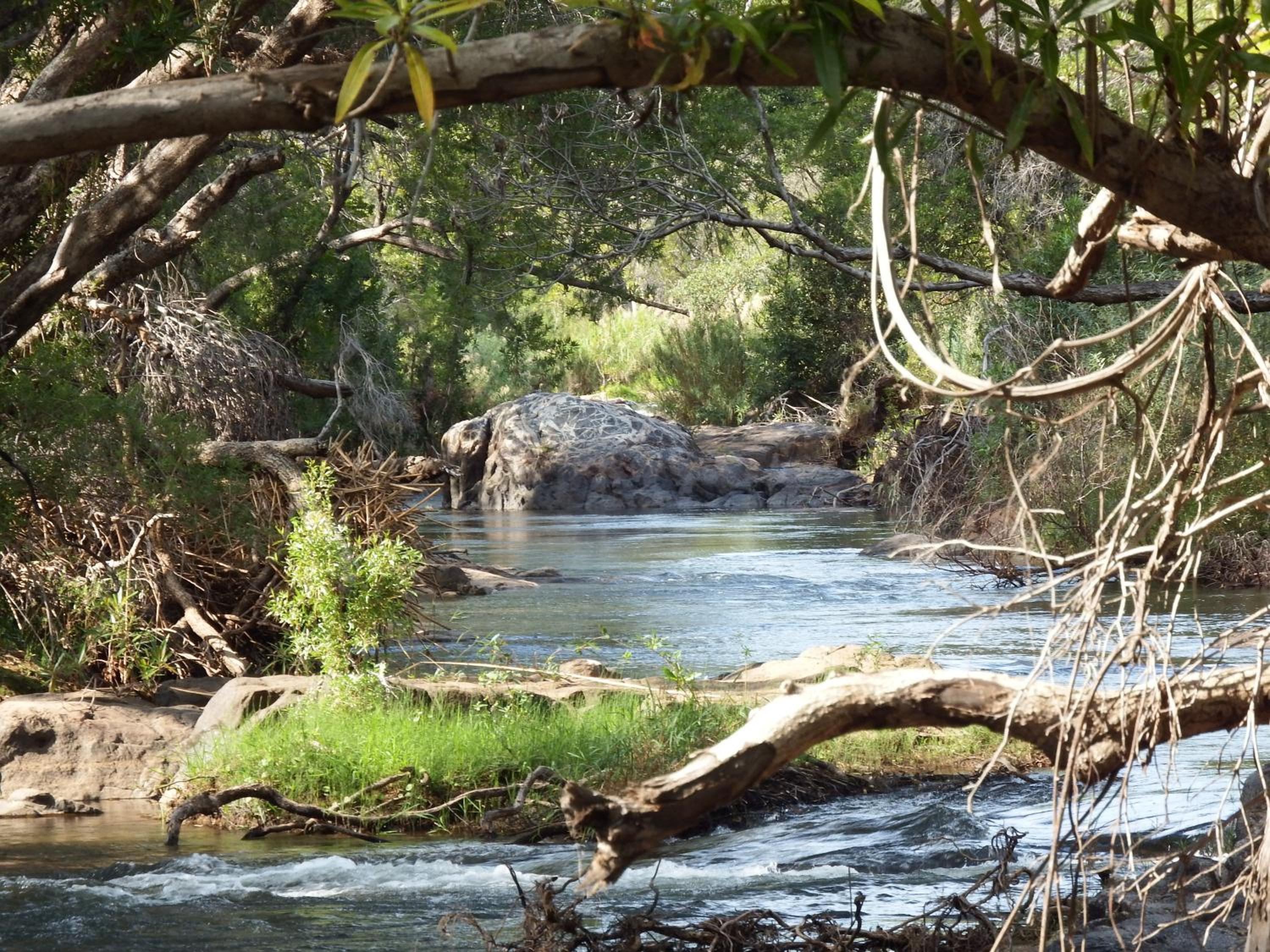 Blyde River Cabins