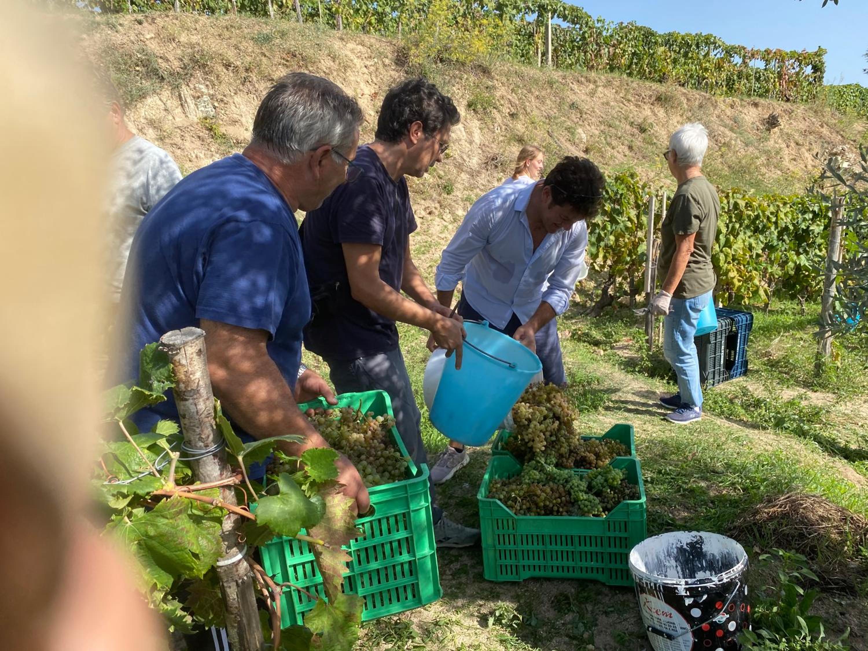 Slow holidays in Calabria tradizioni eno-gastonomia tra borgo e mare