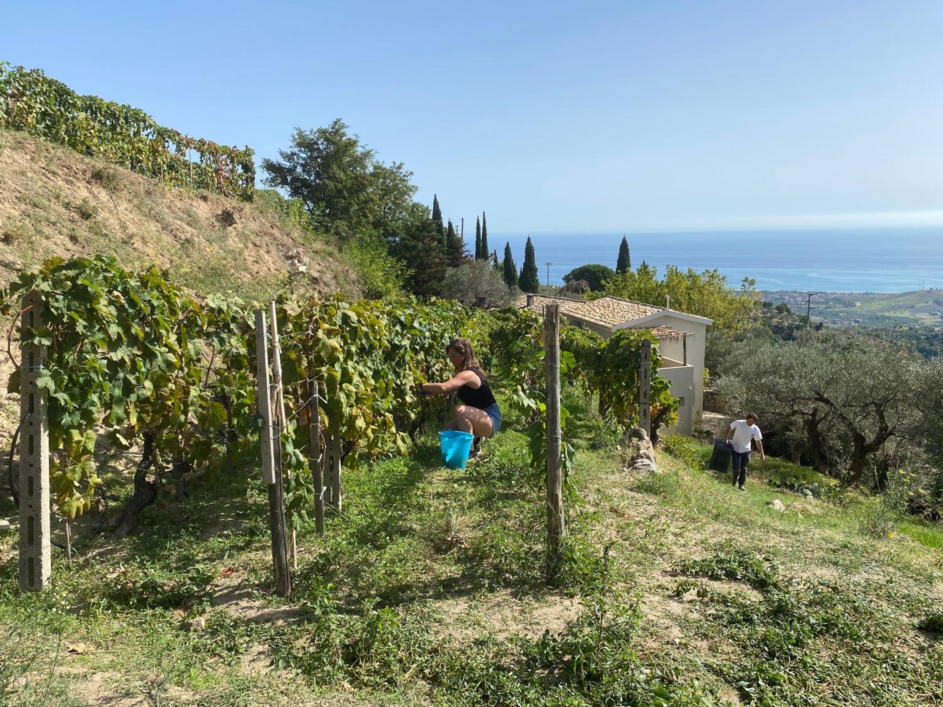 Slow holidays in Calabria tradizioni eno-gastonomia tra borgo e mare