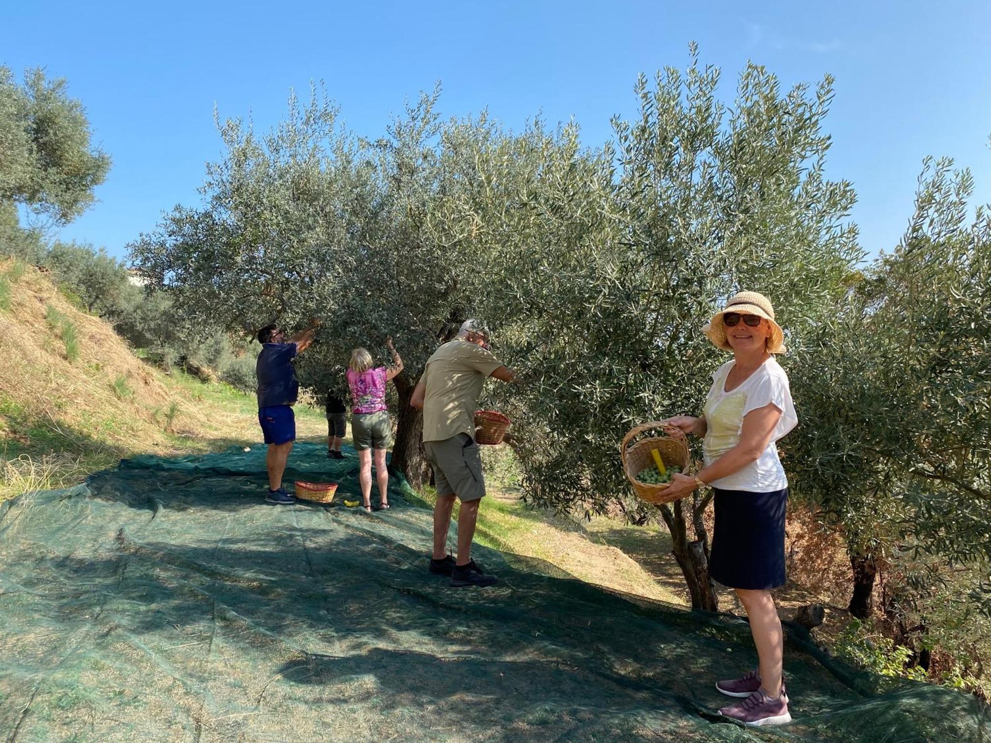 Slow holidays in Calabria tradizioni eno-gastonomia tra borgo e mare