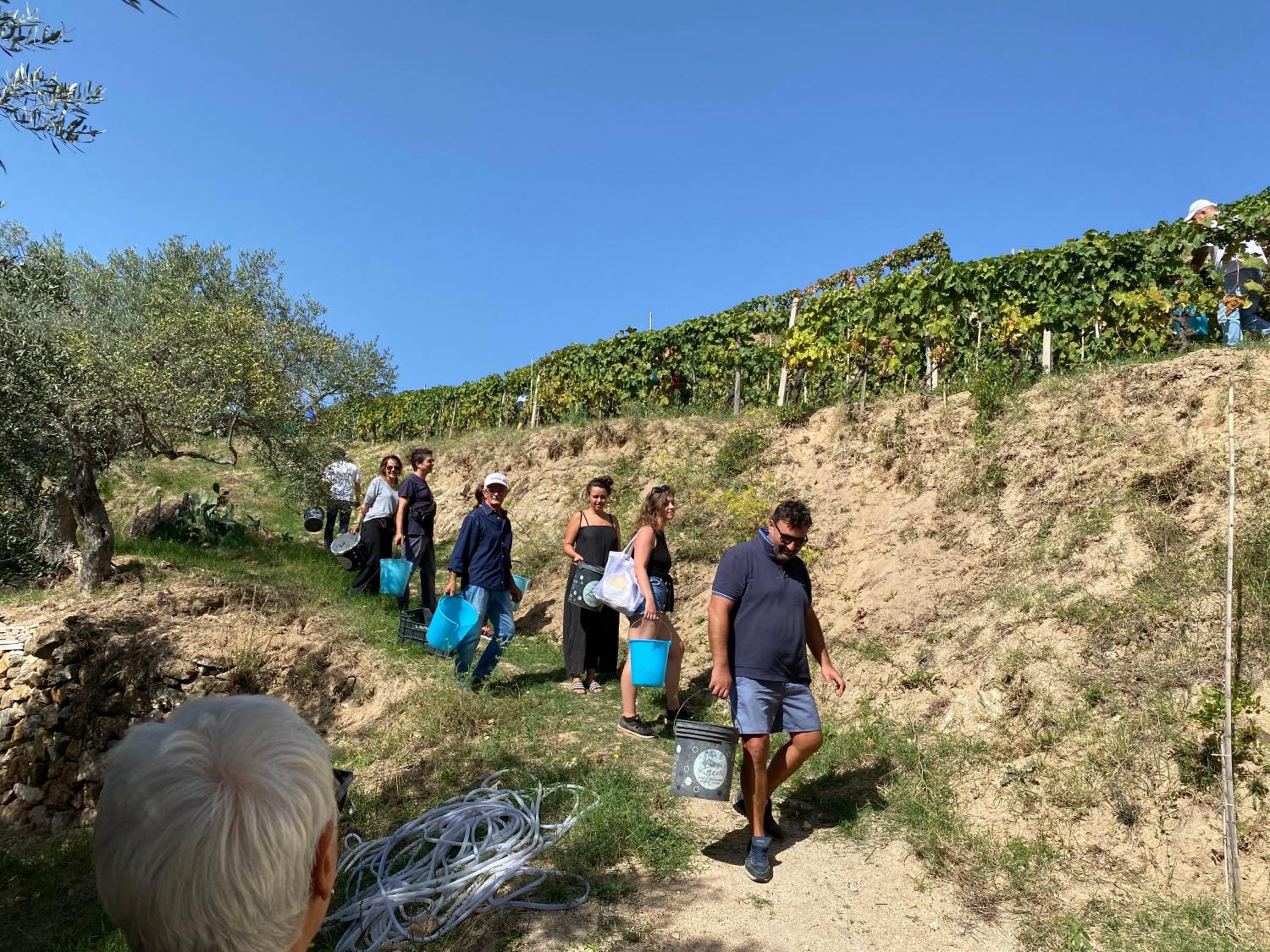 Slow holidays in Calabria tradizioni eno-gastonomia tra borgo e mare