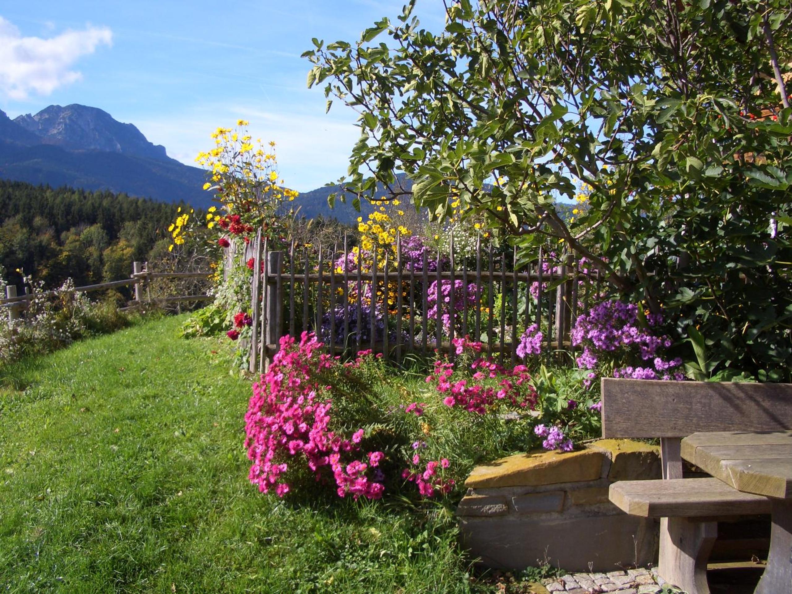 Photo 20