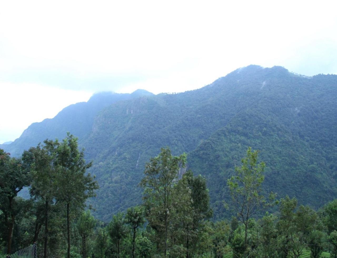Coonoor Mountain Stay by Lexstays at Mukesh Kudil view 3