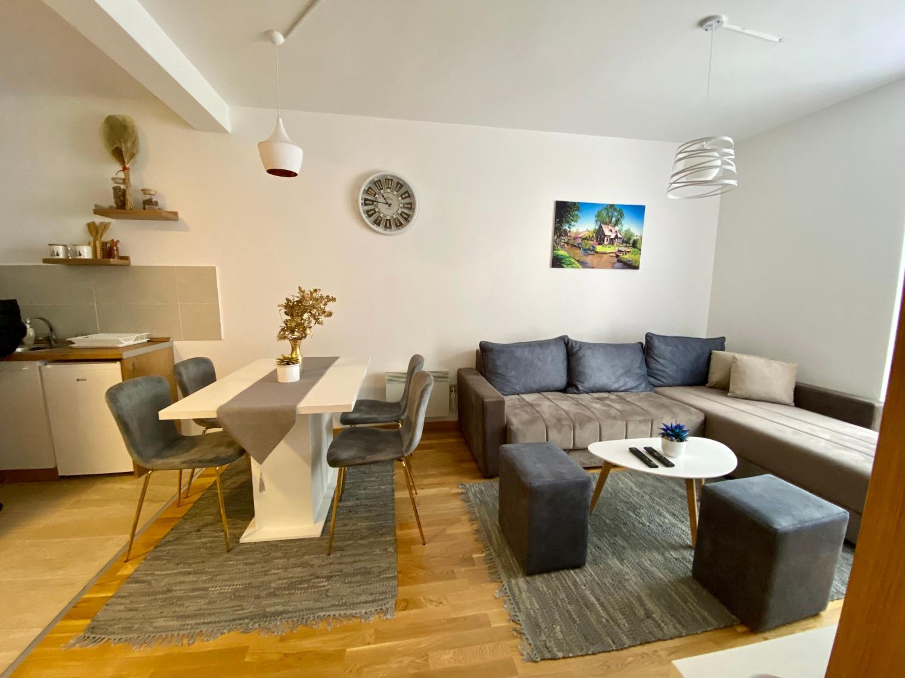 Apartman Mladenovic Zlatibor view 5