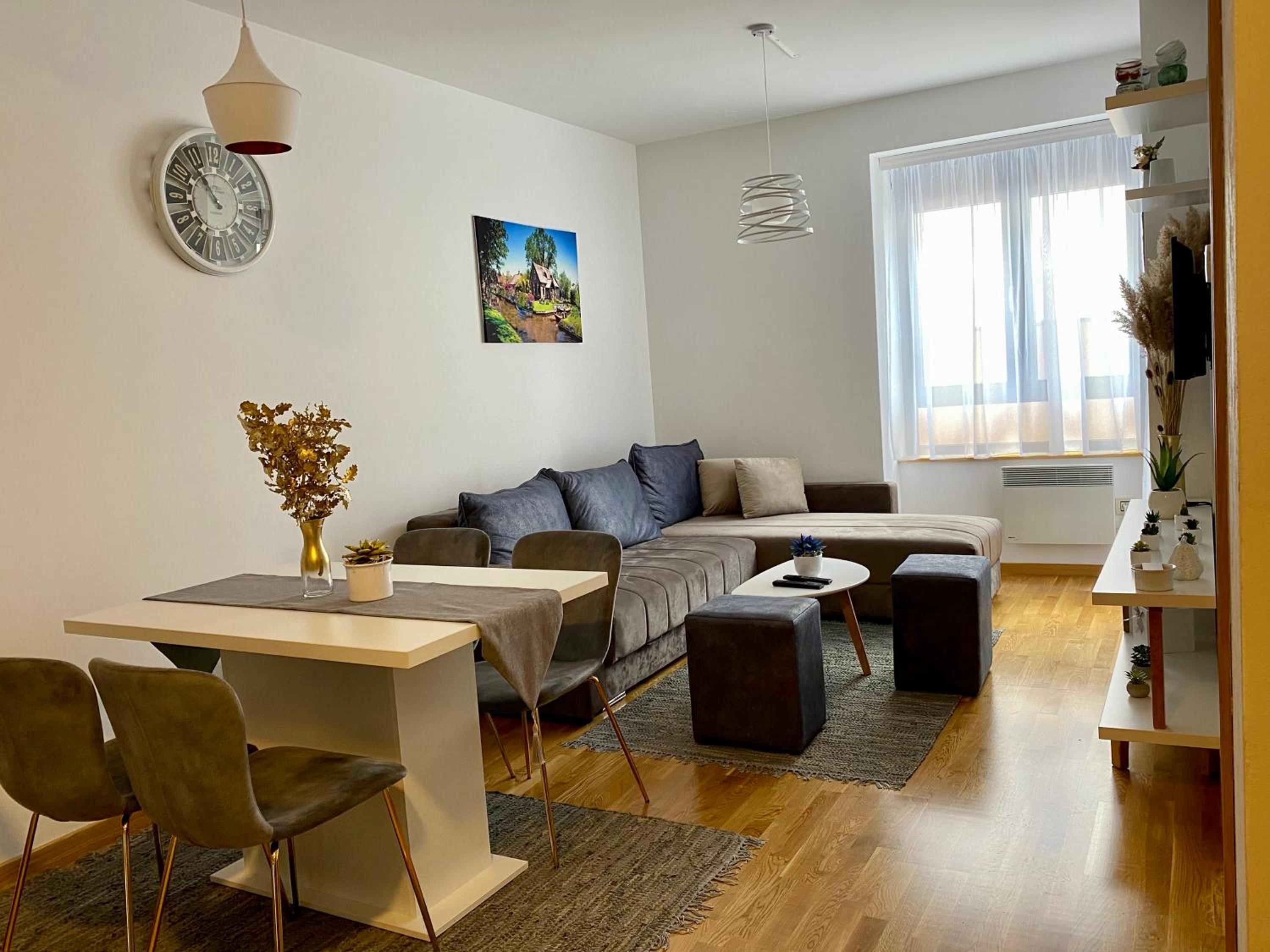 Apartman Mladenovic Zlatibor view 2