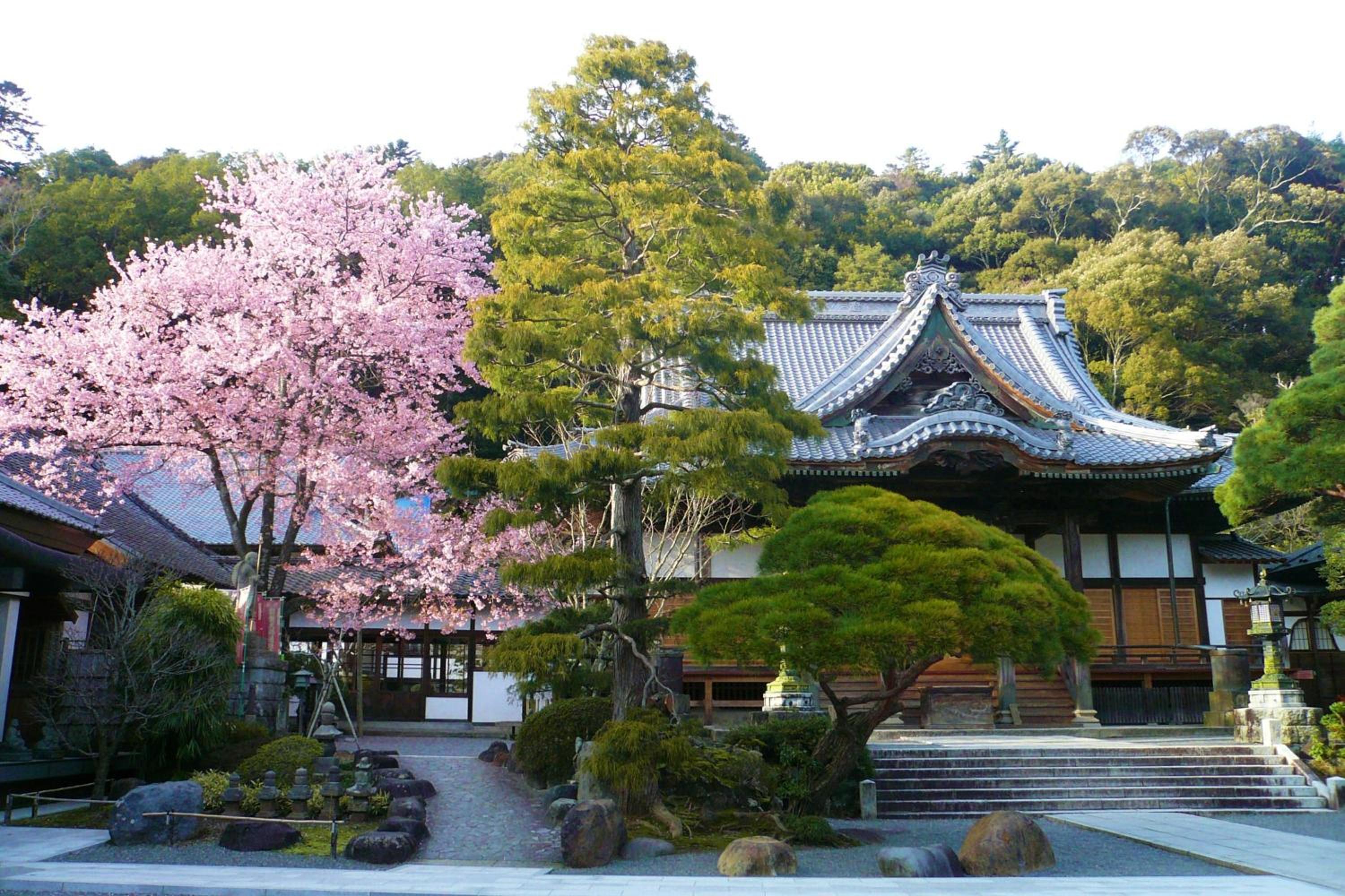 Sora Togetsusoukinryu
