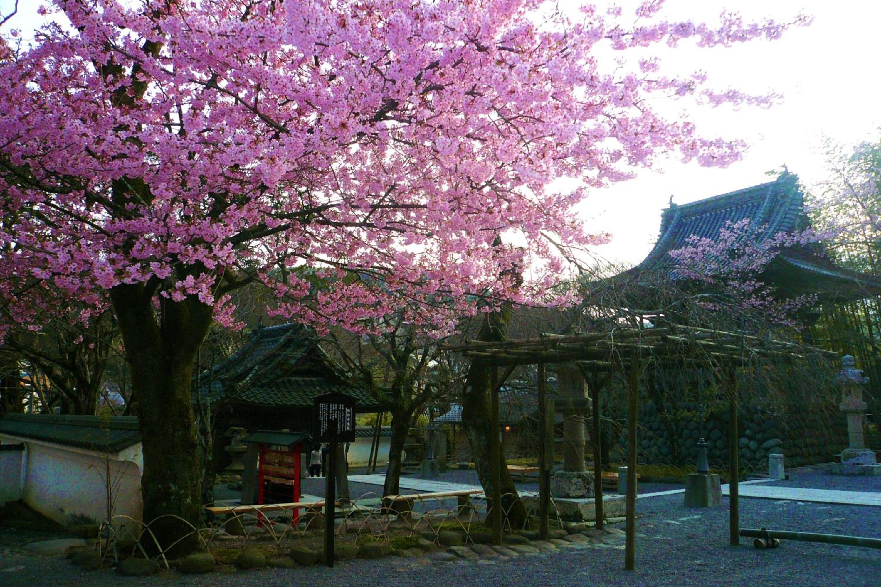 Sora Togetsusoukinryu