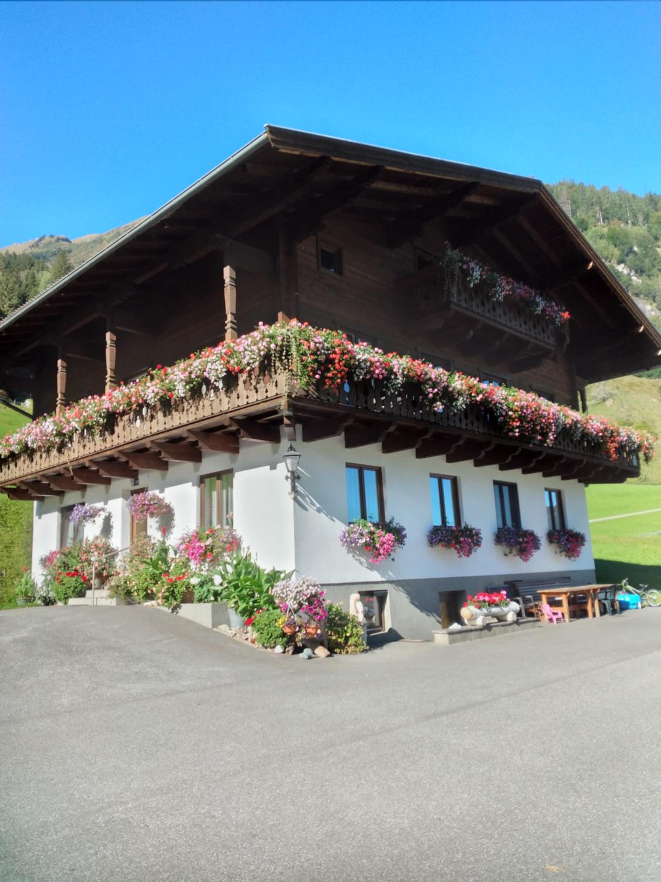 Bio-Bauernhof Schiederhof