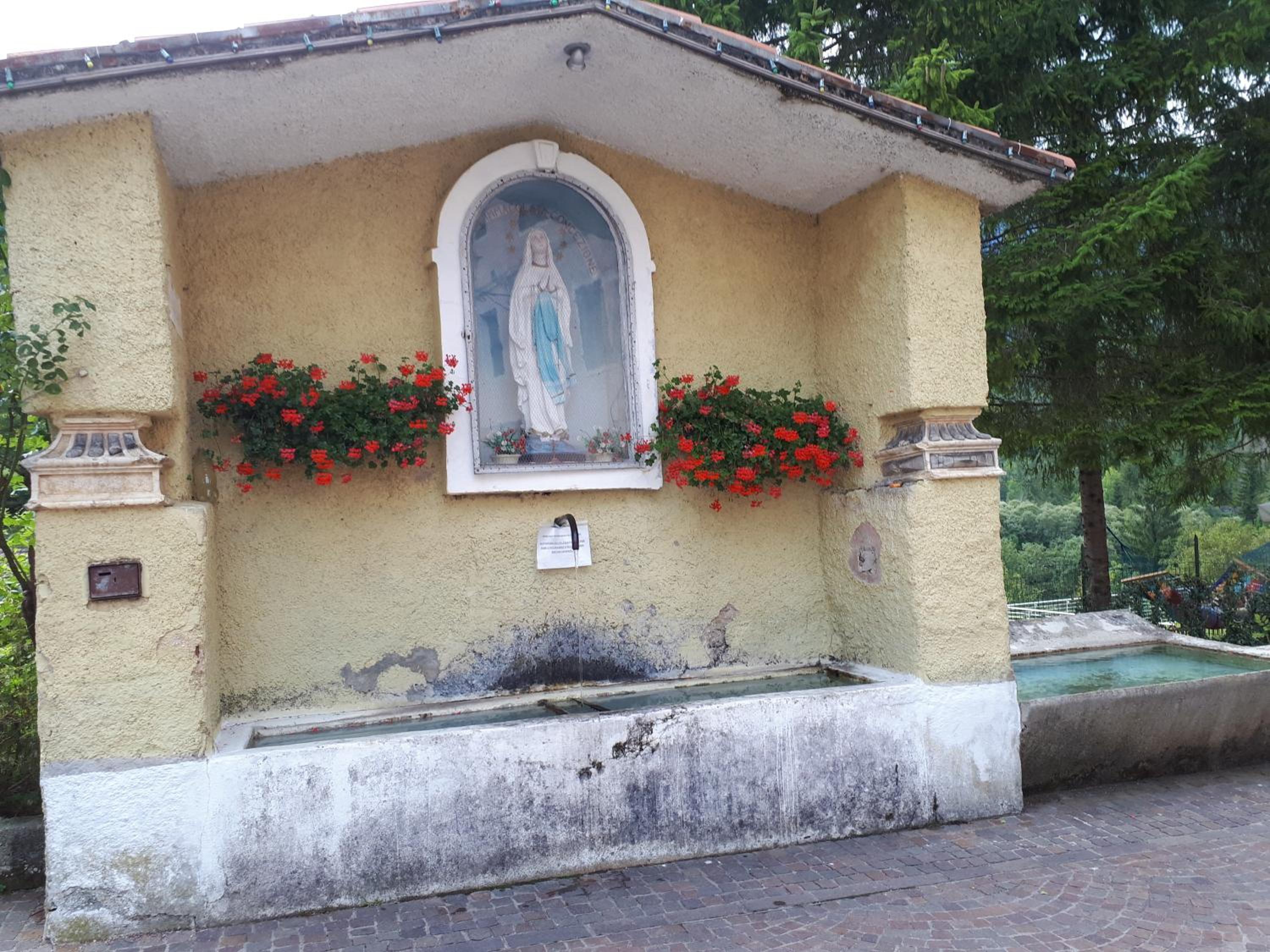 Photo 67