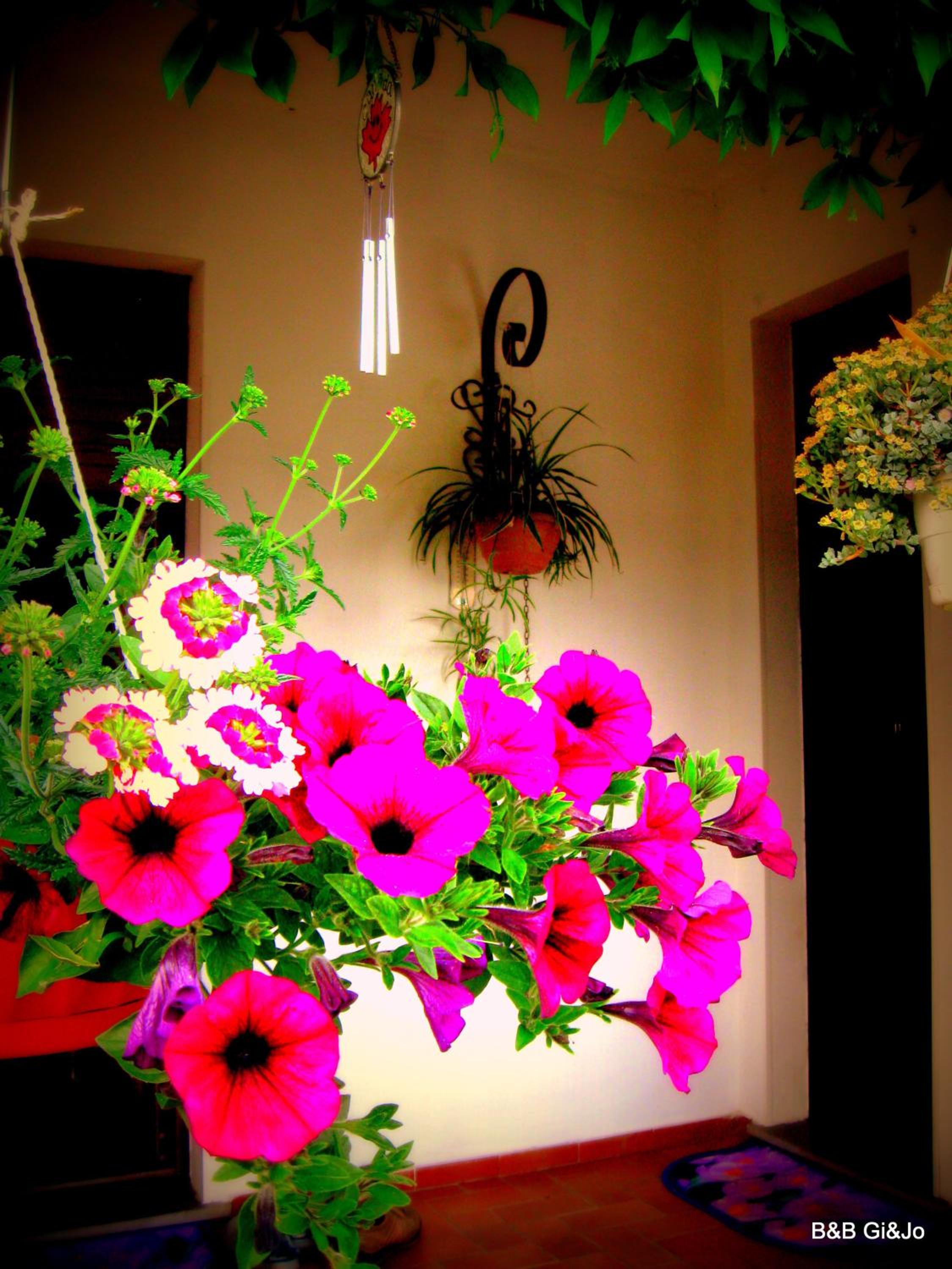 Photo 48