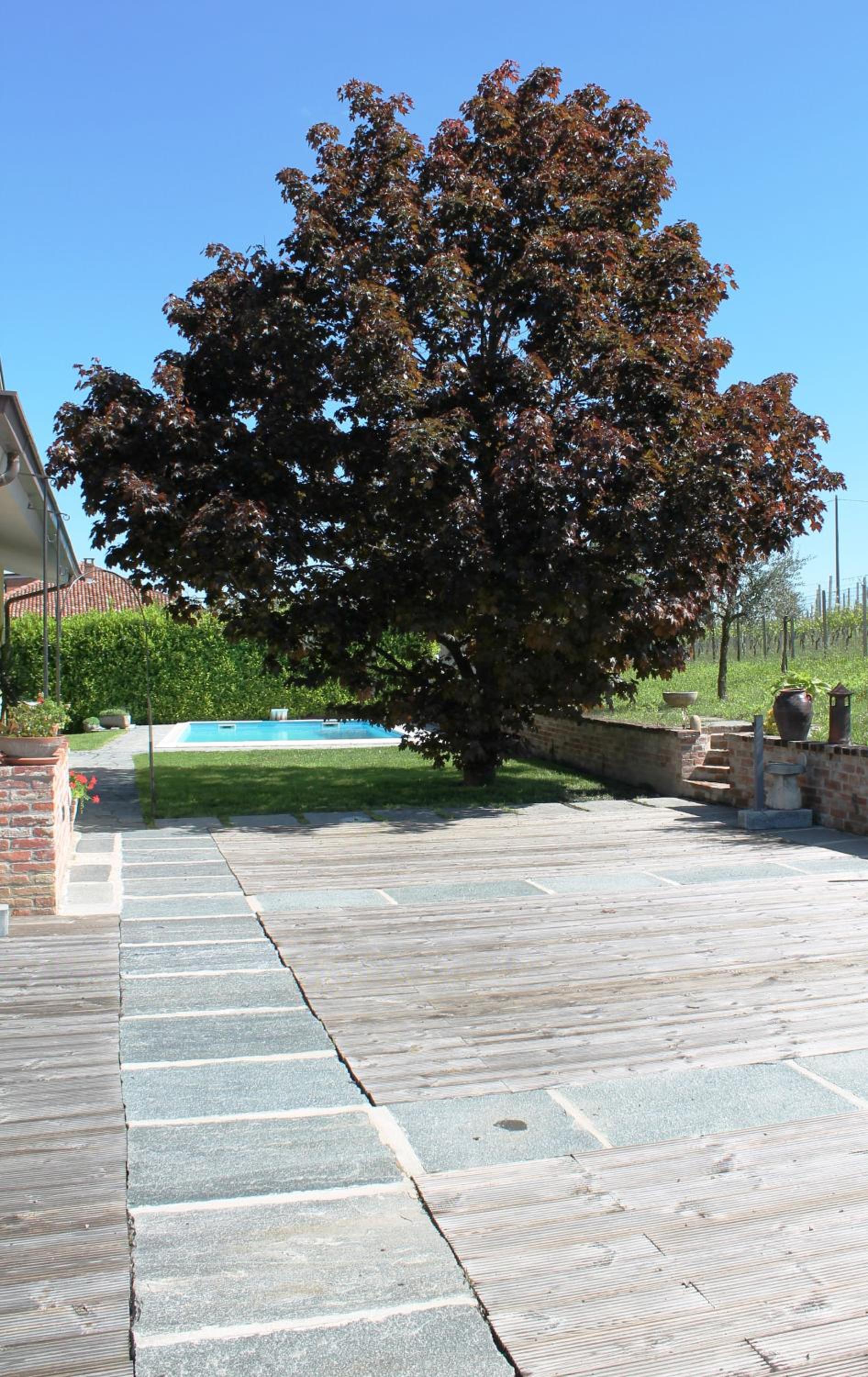Agriturismo Foravia
