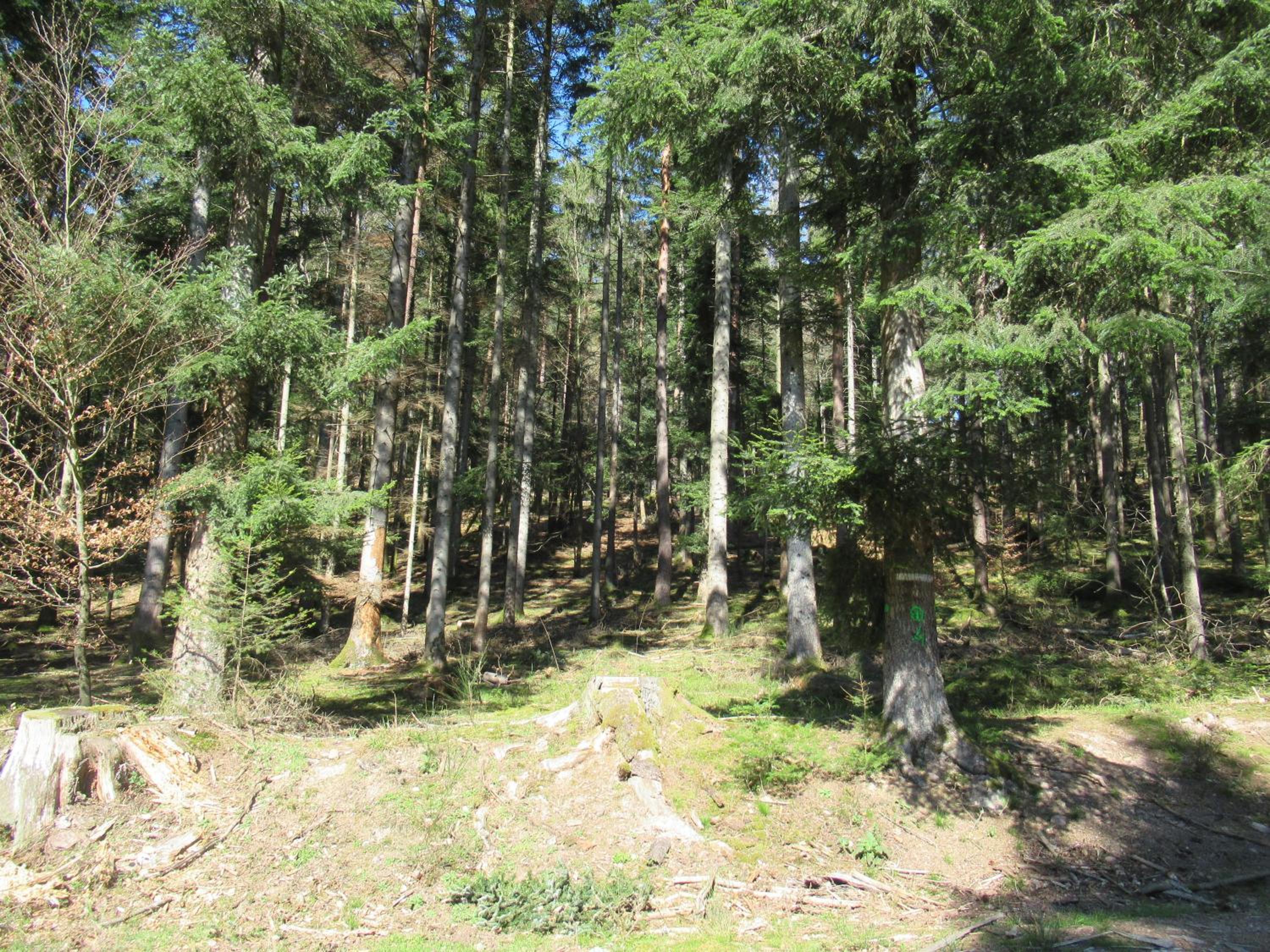 Photo 32